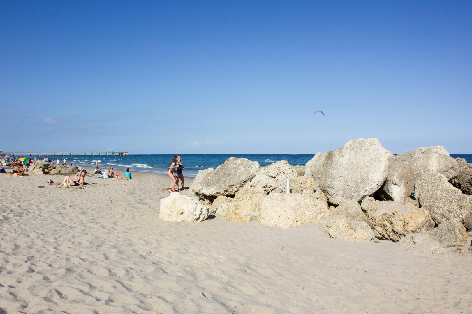 1955 NE 4th #Unit # 2, Deerfield Beach FL 33441