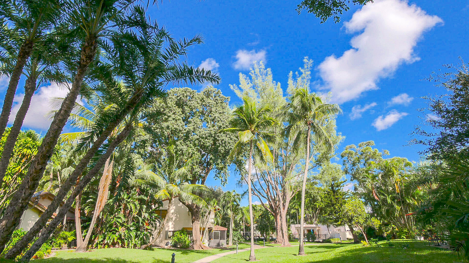 3425 Lime Hill #169, Lauderhill FL 33319