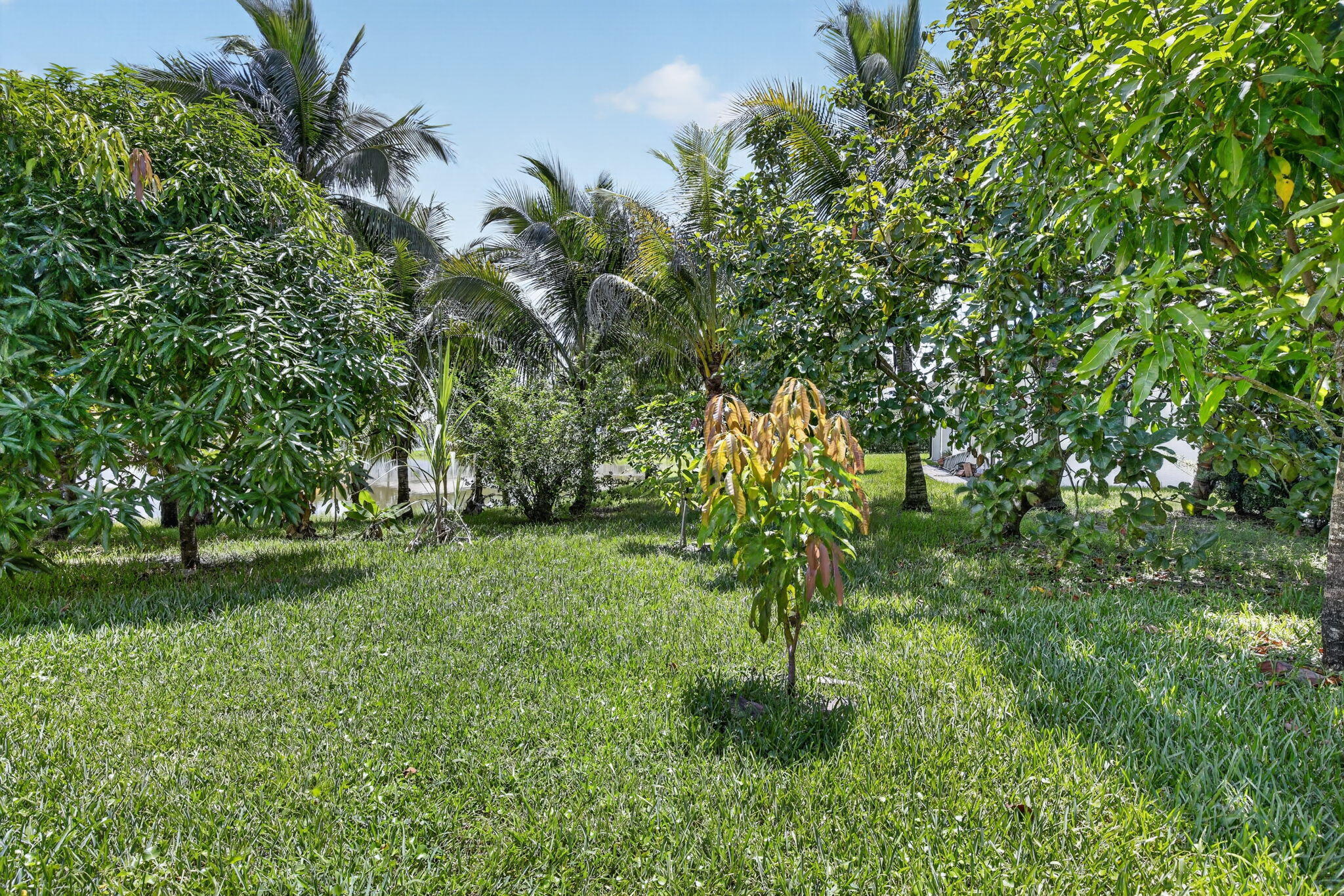 13382 Lakepointe, Cooper City FL 33330