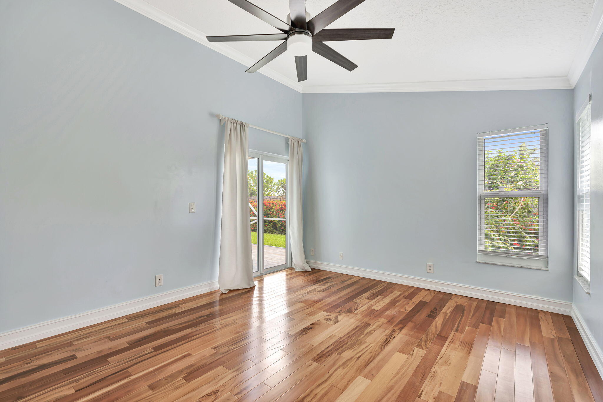 6253 Michael, Jupiter FL 33458