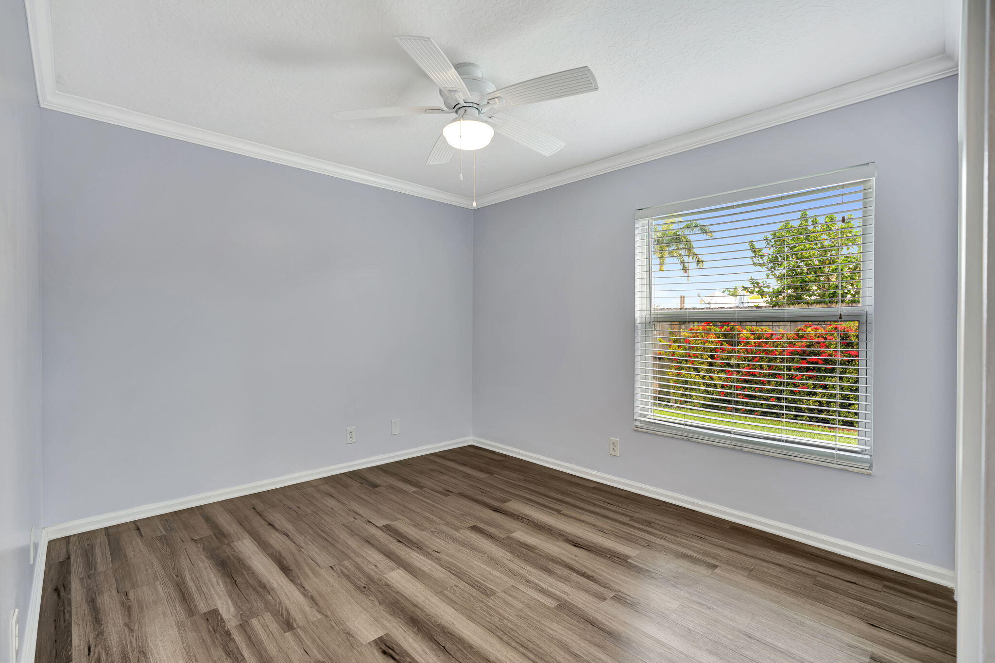6253 Michael, Jupiter FL 33458