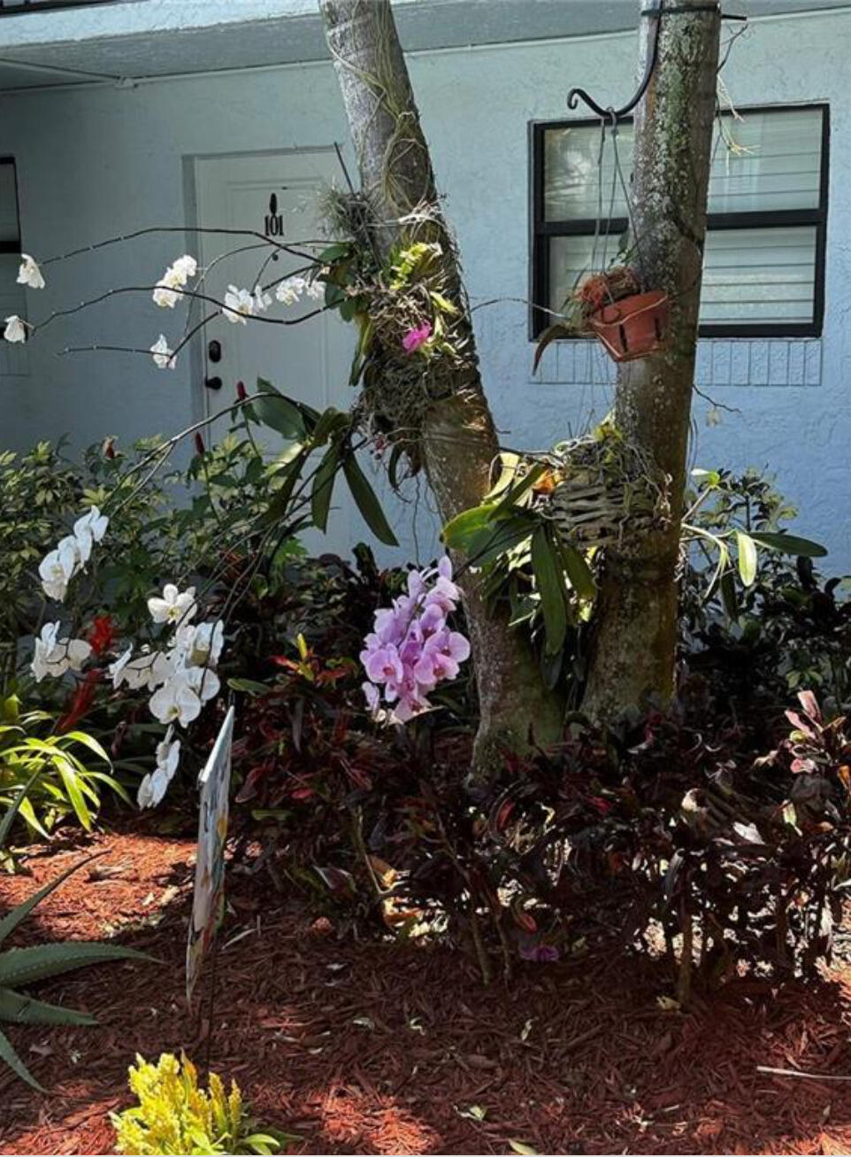 1975 SE 3rd #403, Deerfield Beach FL 33441