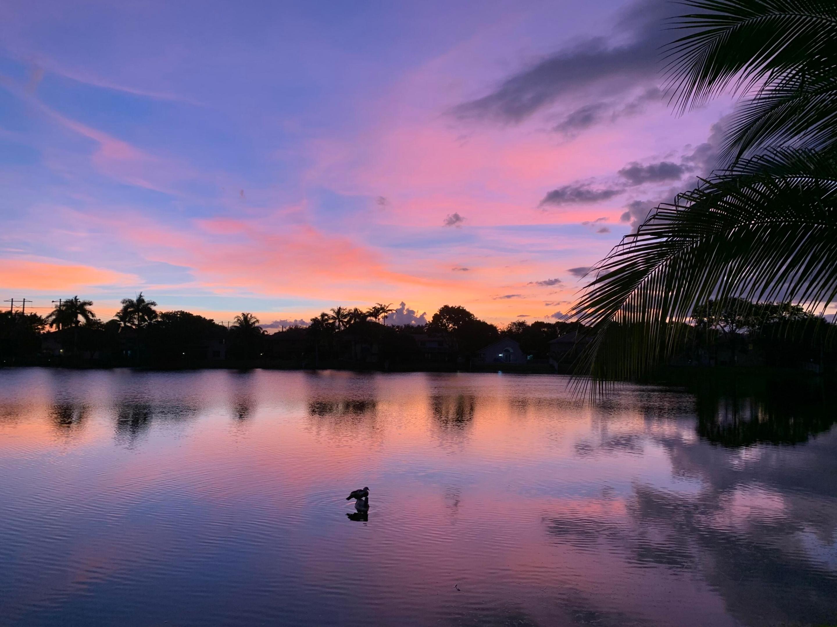 3342 Amsterdam, Cooper City FL 33026