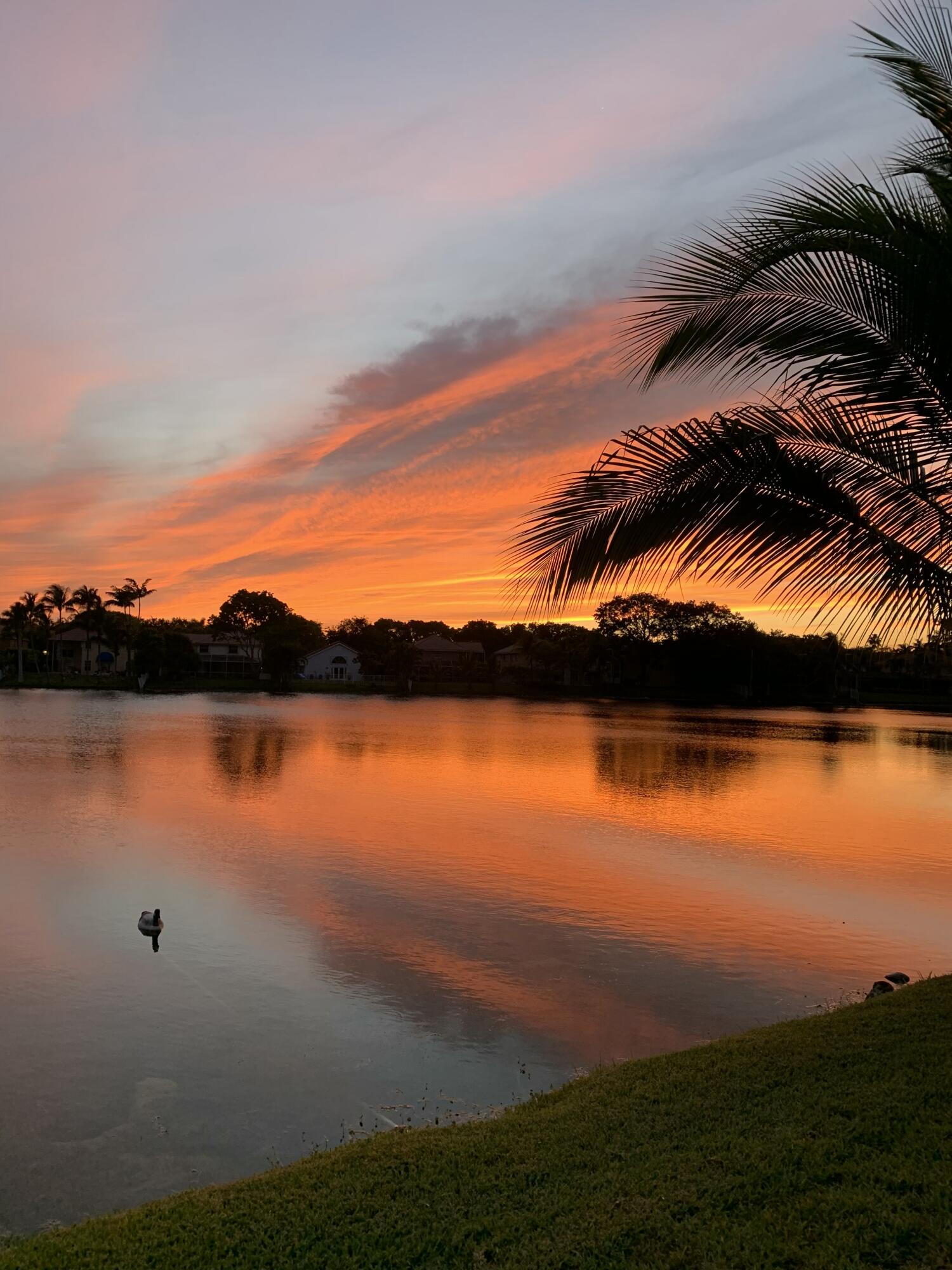 3342 Amsterdam, Cooper City FL 33026