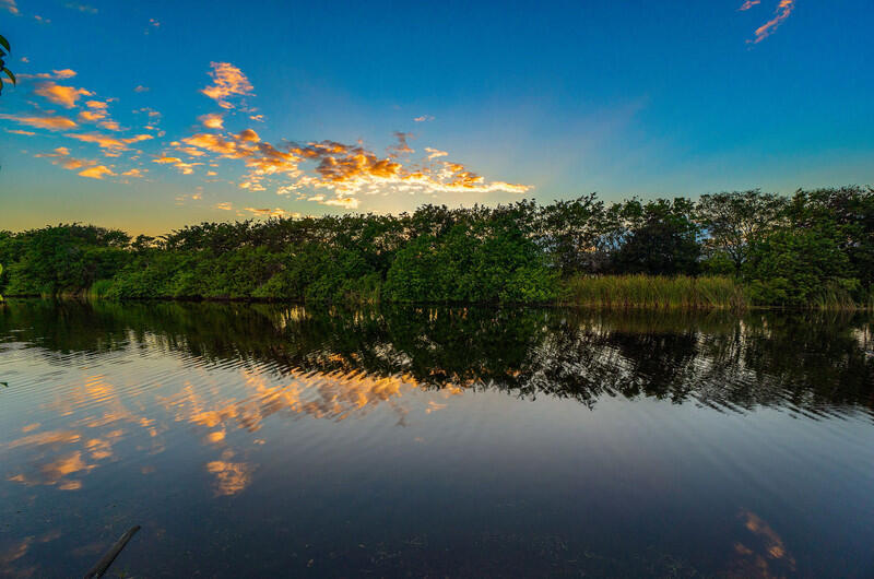 14364 Stroller, Wellington FL 33414
