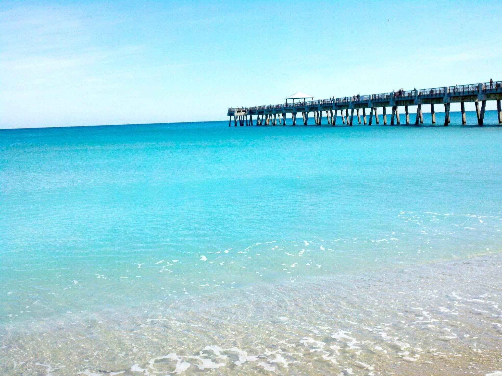 136 Florence, Jupiter FL 33458