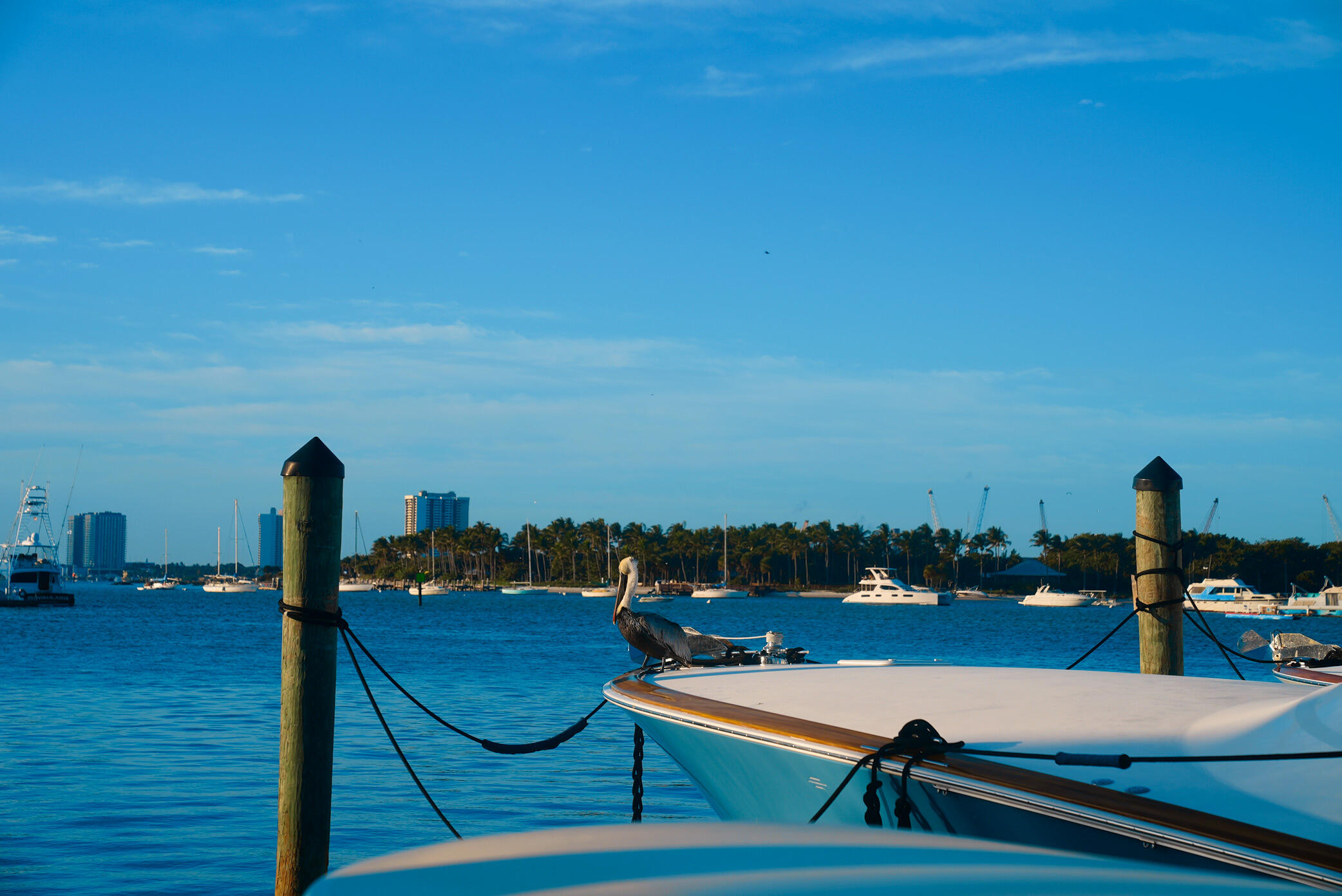 184 Lake #3101, Palm Beach Shores FL 33404