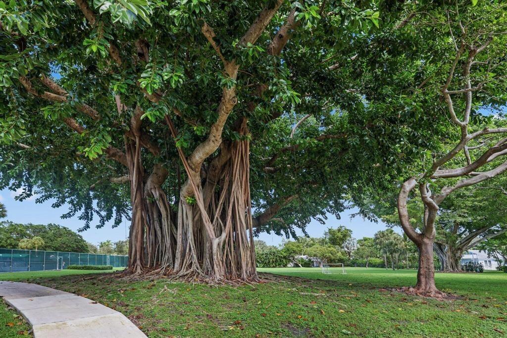 2804 Banyan Boulevard, Boca Raton FL 33431