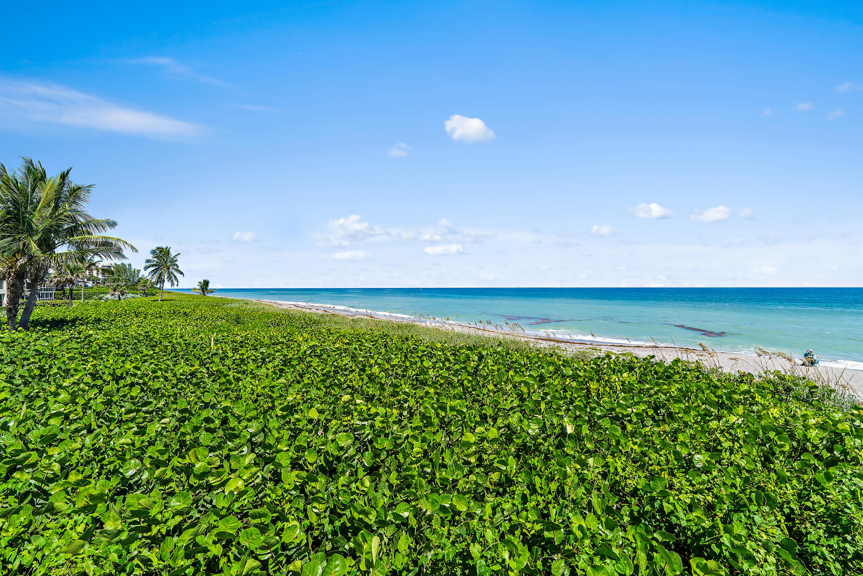 50 Celestial #310, Juno Beach FL 33408