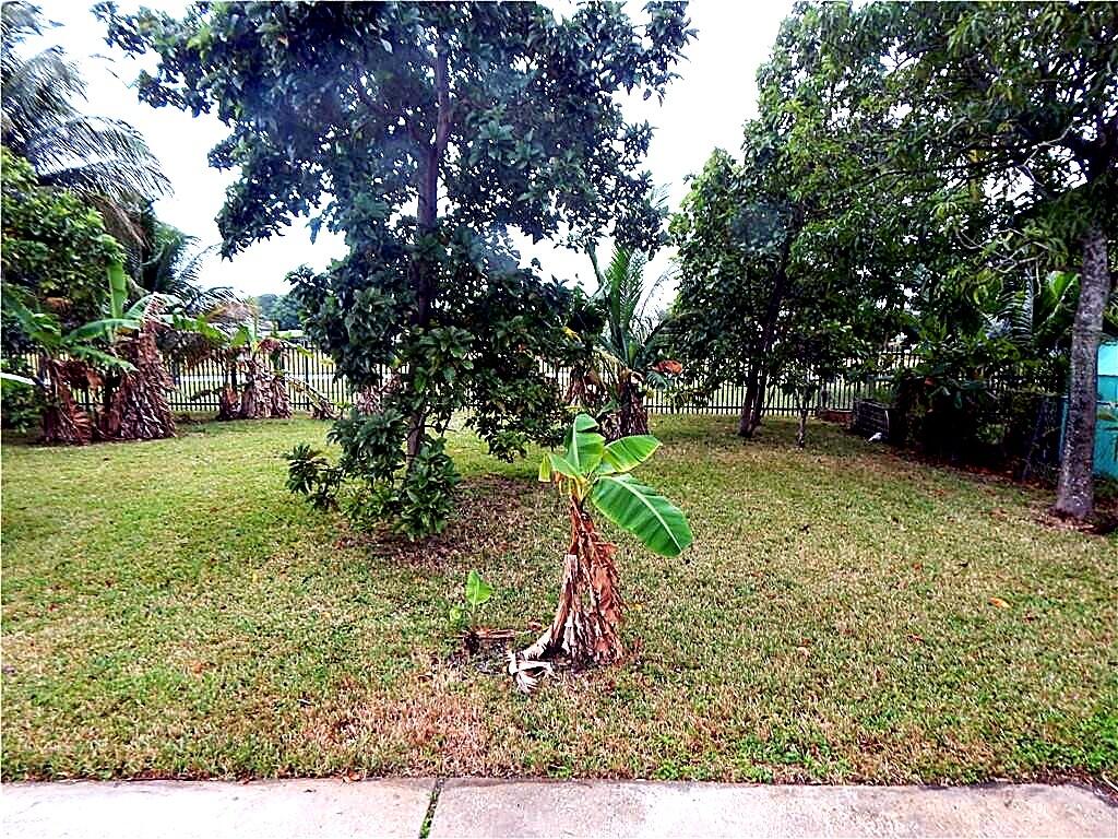 3640 NW 39th, Lauderdale Lakes FL 33309