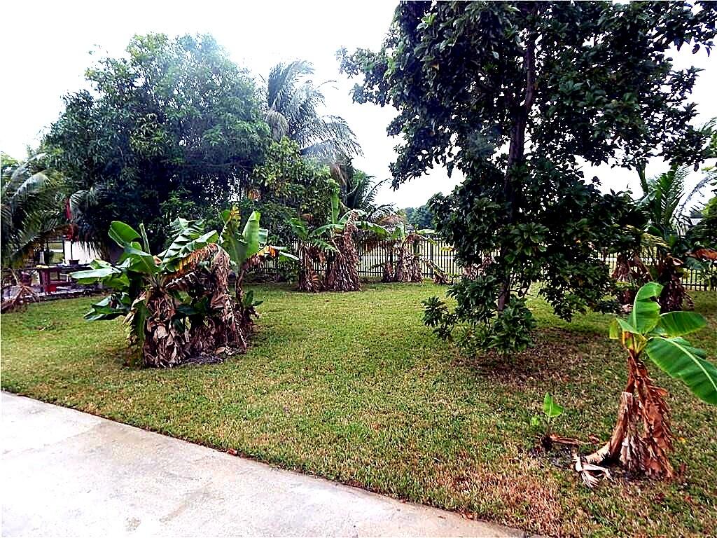 3640 NW 39th, Lauderdale Lakes FL 33309