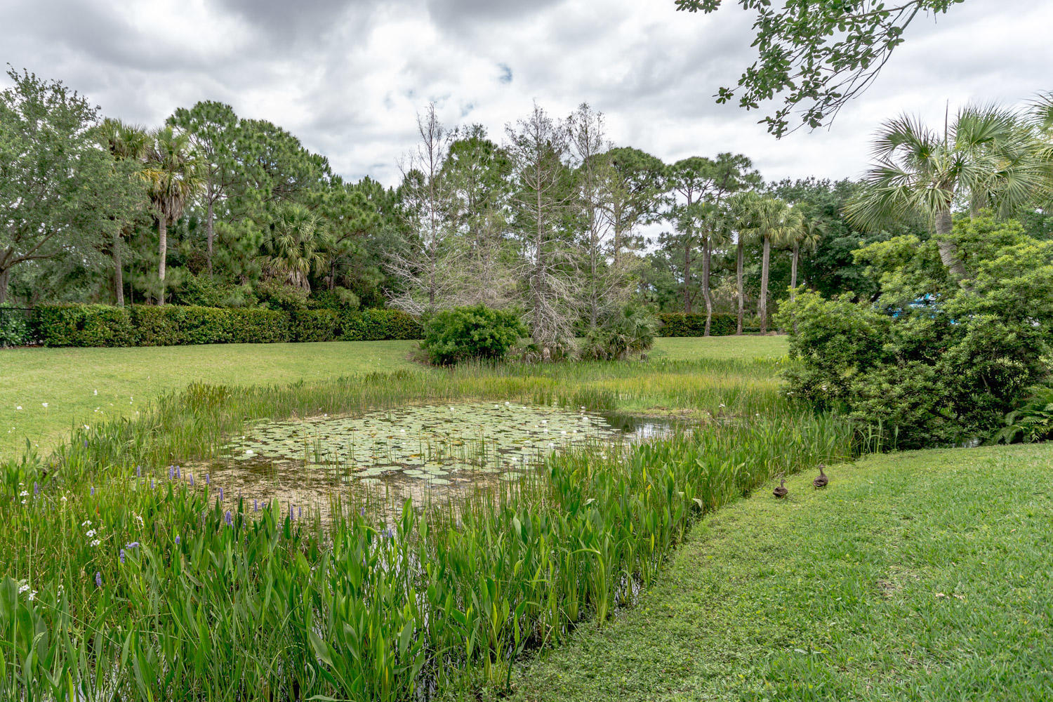 4705 Dovehill, Palm Beach Gardens FL 33418