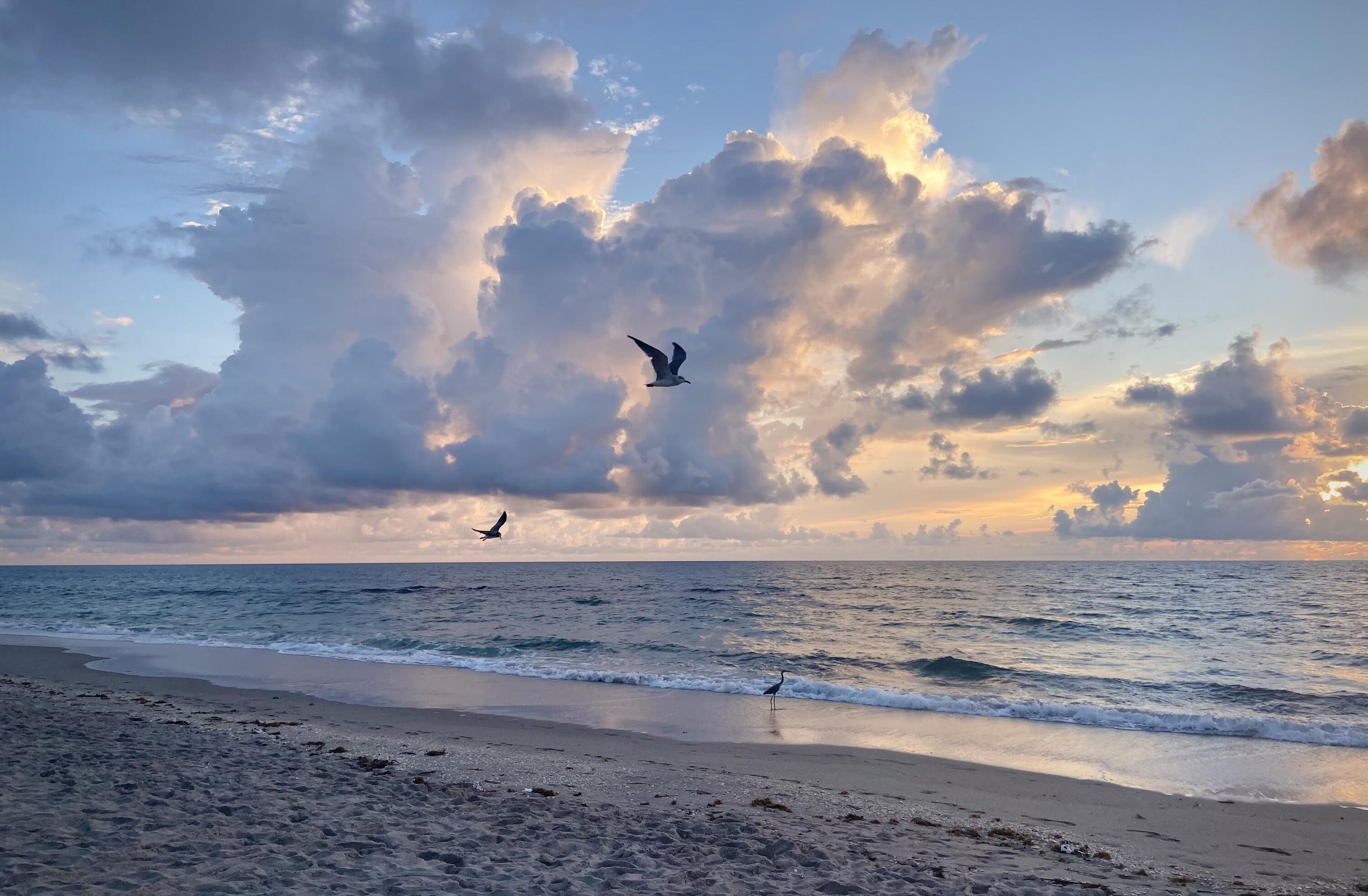 1221 Singer, Singer Island FL 33404