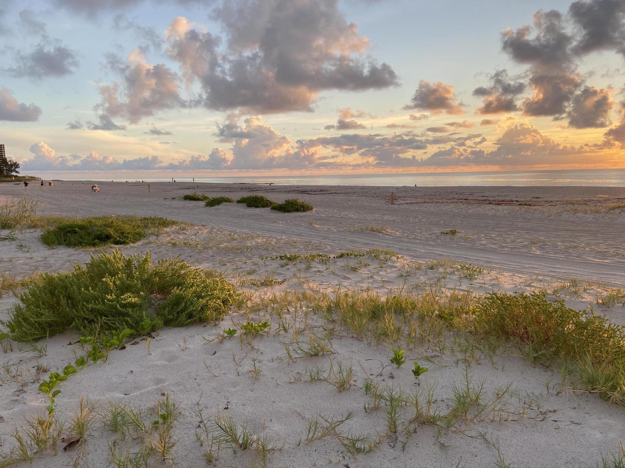 1221 Singer, Singer Island FL 33404