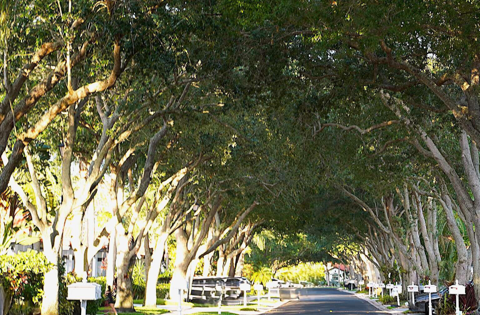 8088 Vía Di Veneto, Boca Raton FL 33496