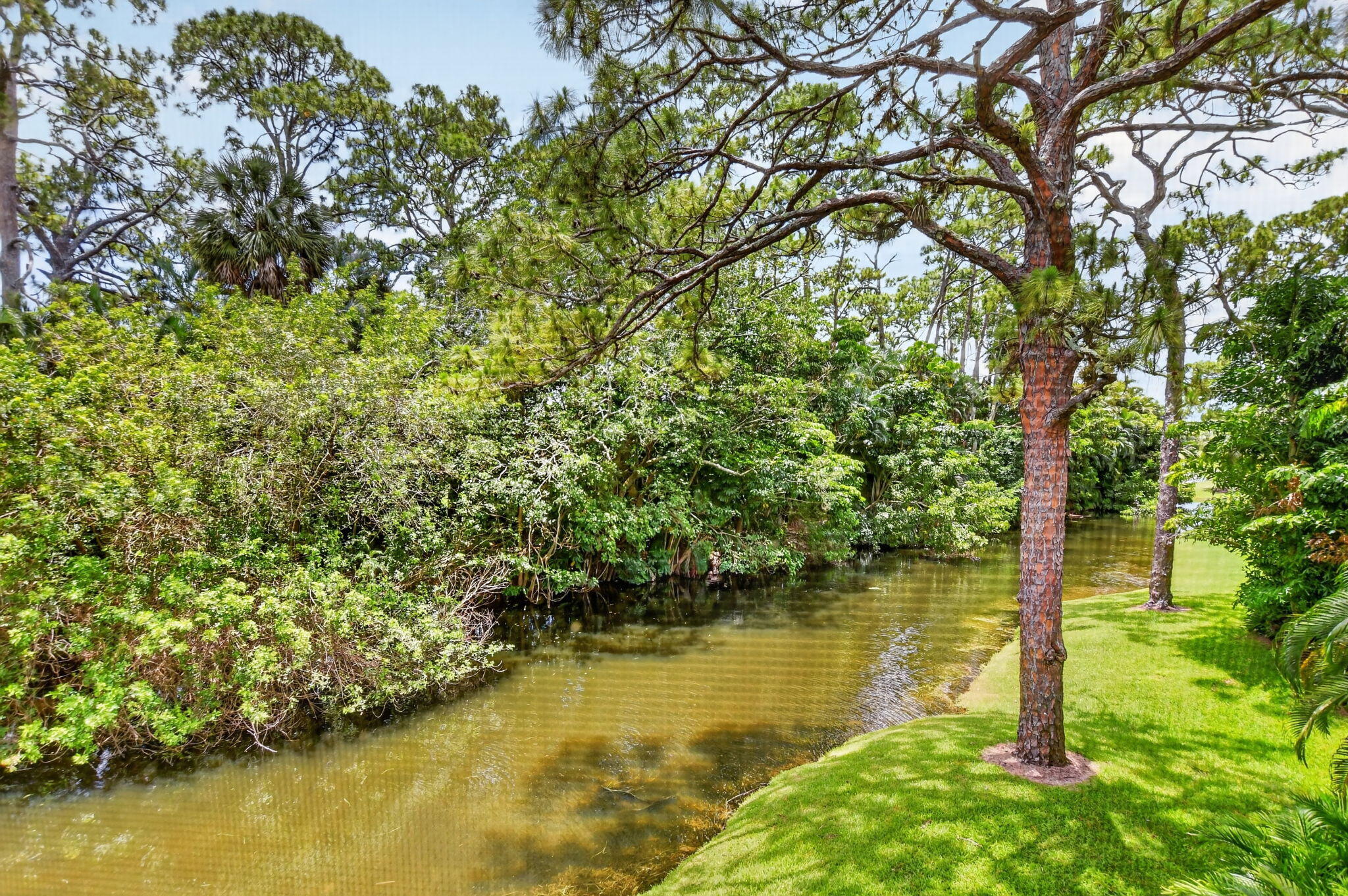 6957 Rain Forest, Boca Raton FL 33434