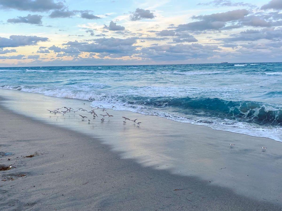 832 SW 10th, Boca Raton FL 33486