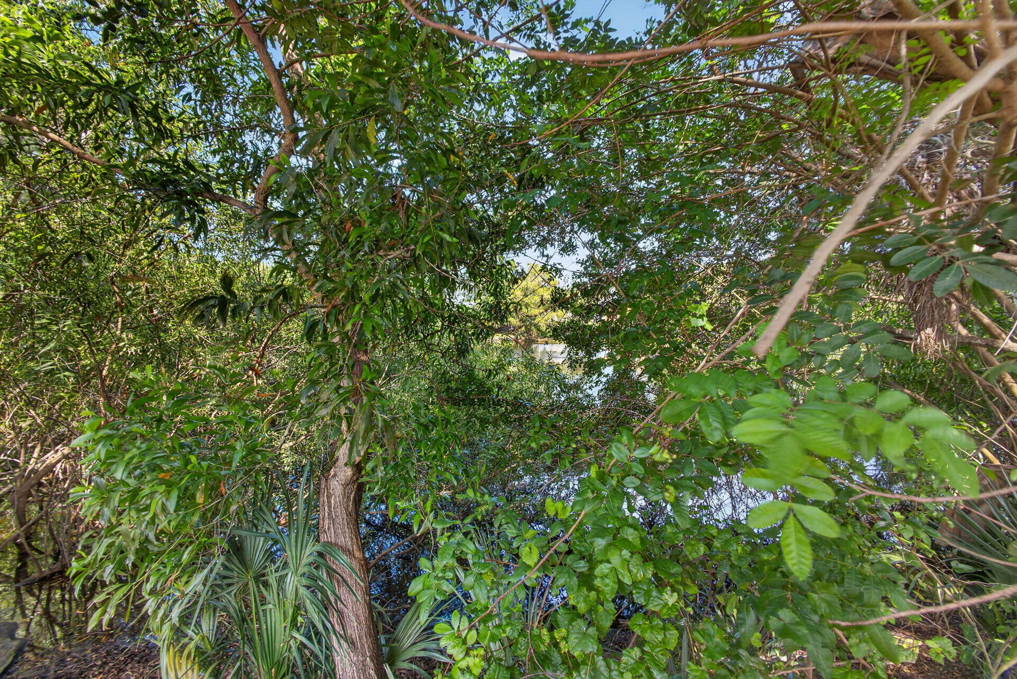 5500 West, Mangonia Park FL 33407
