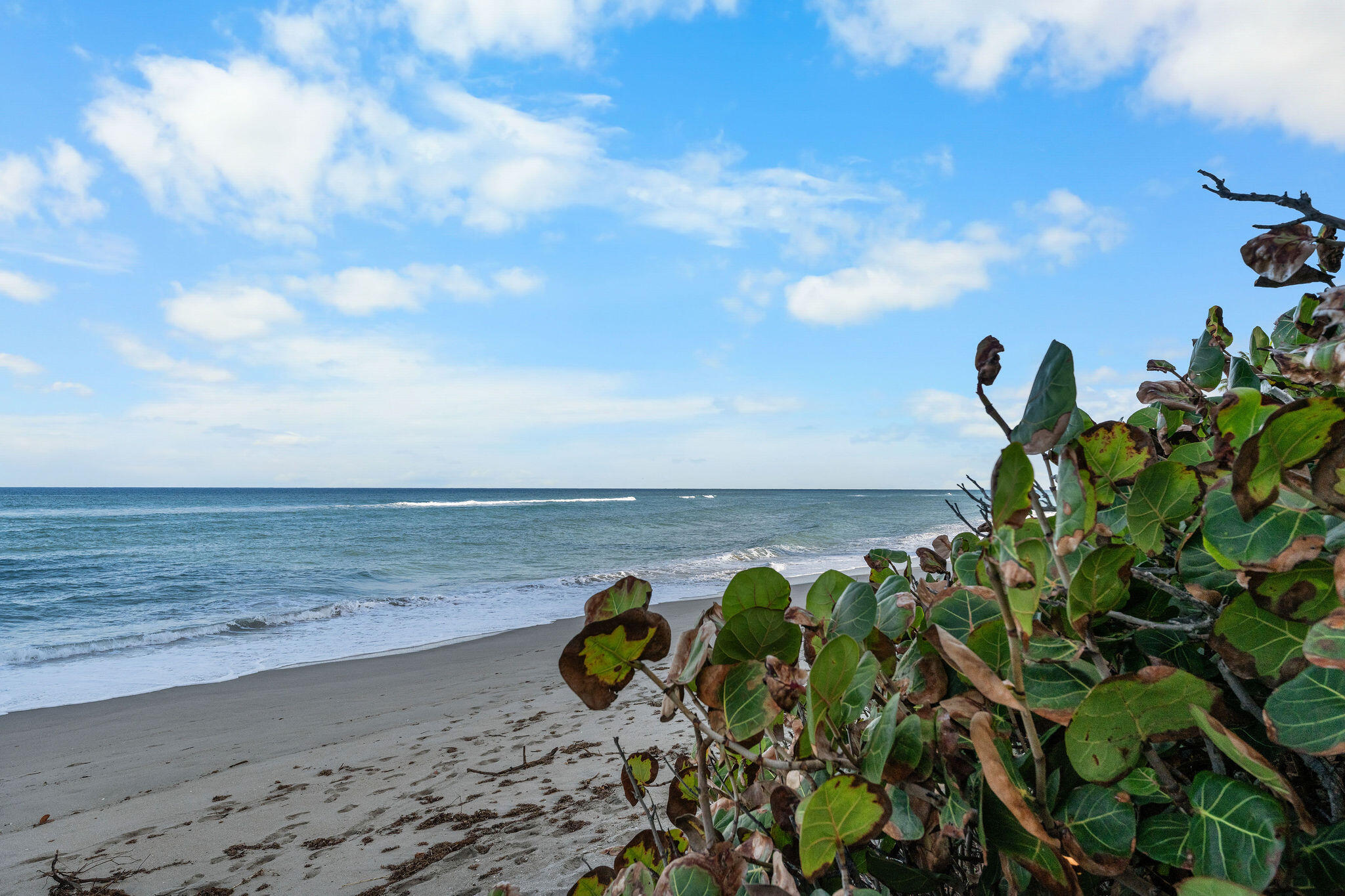 500 Ocean #E-2d, Juno Beach FL 33408