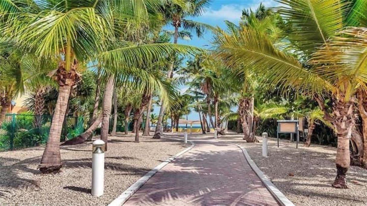 1755 E Terra Mar, Lauderdale By The Sea FL 33062