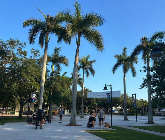 246 Barbados, Jupiter FL 33458