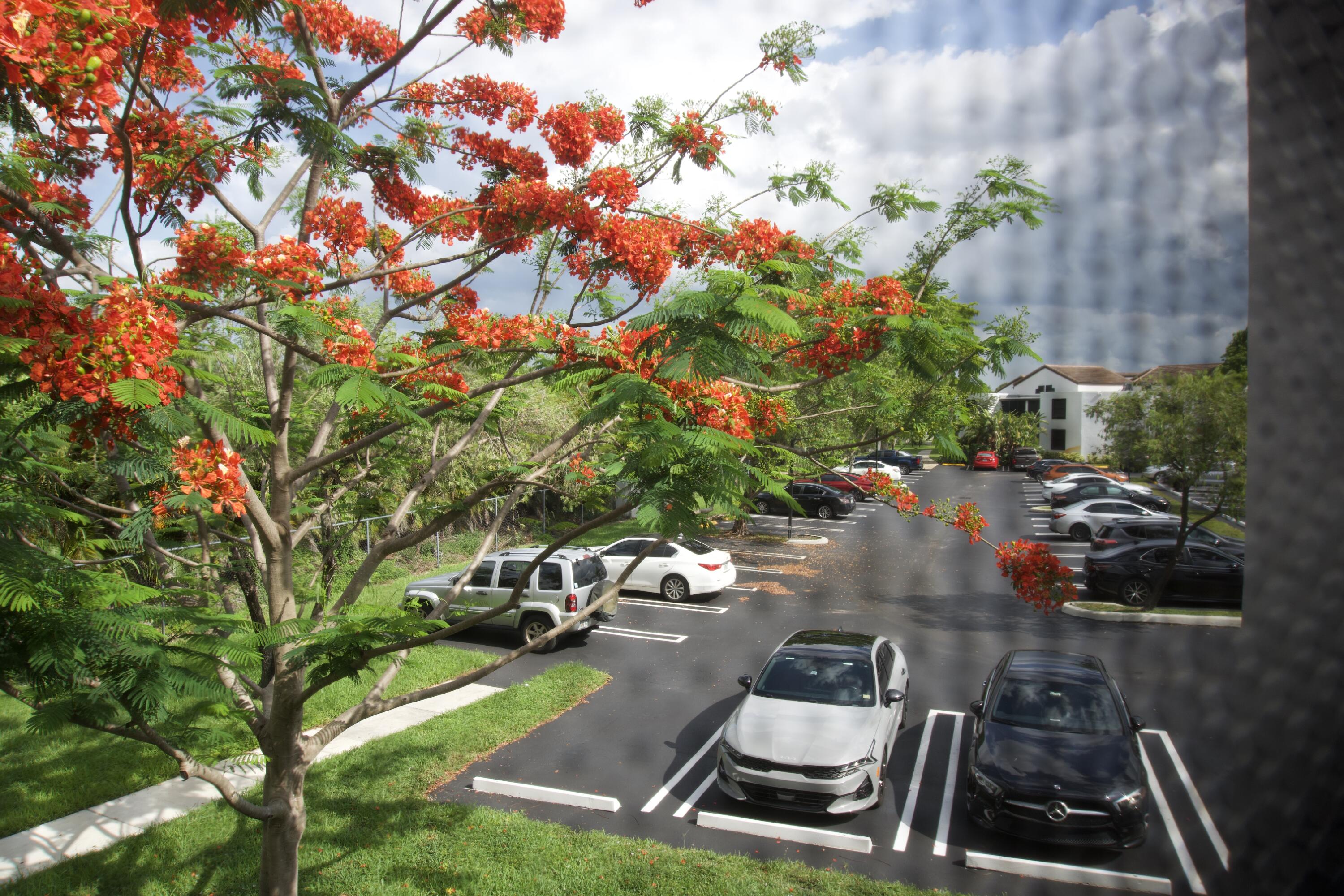 213 Lake Pointe #211, Oakland Park FL 33309