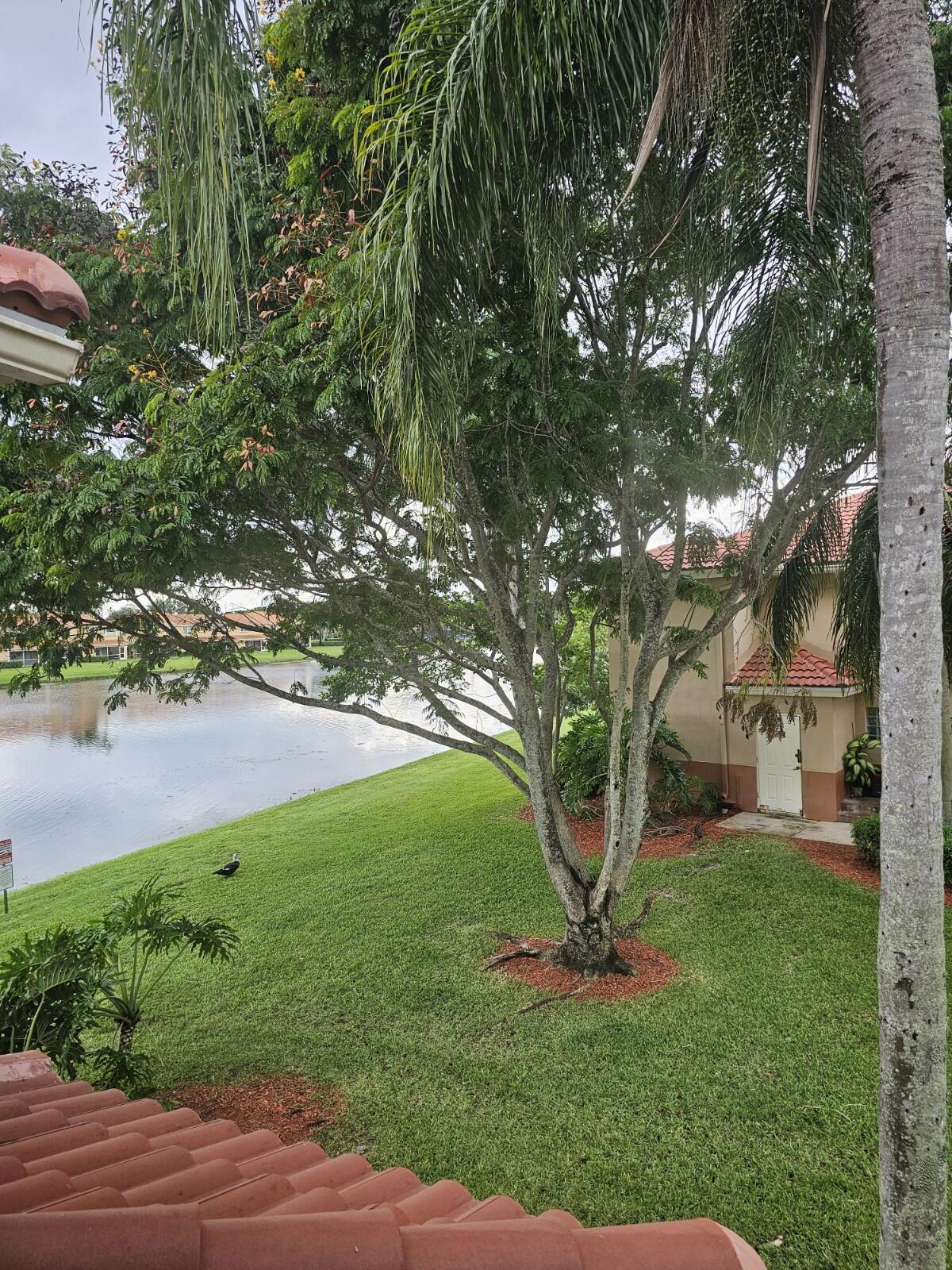 3490 Briar Bay #206, West Palm Beach FL 33411