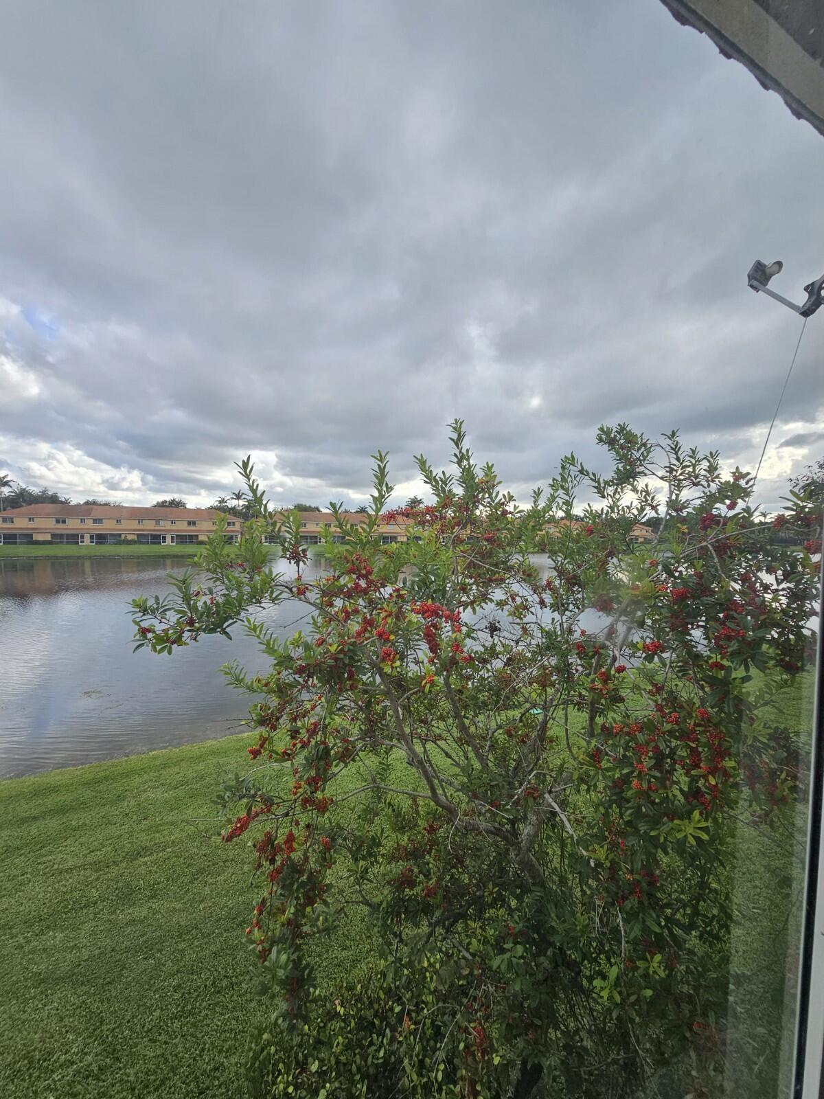 3490 Briar Bay #206, West Palm Beach FL 33411
