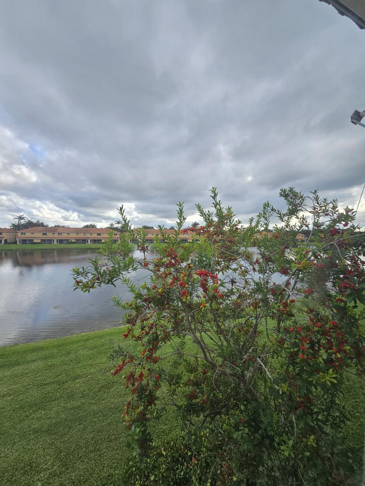 3490 Briar Bay #206, West Palm Beach FL 33411