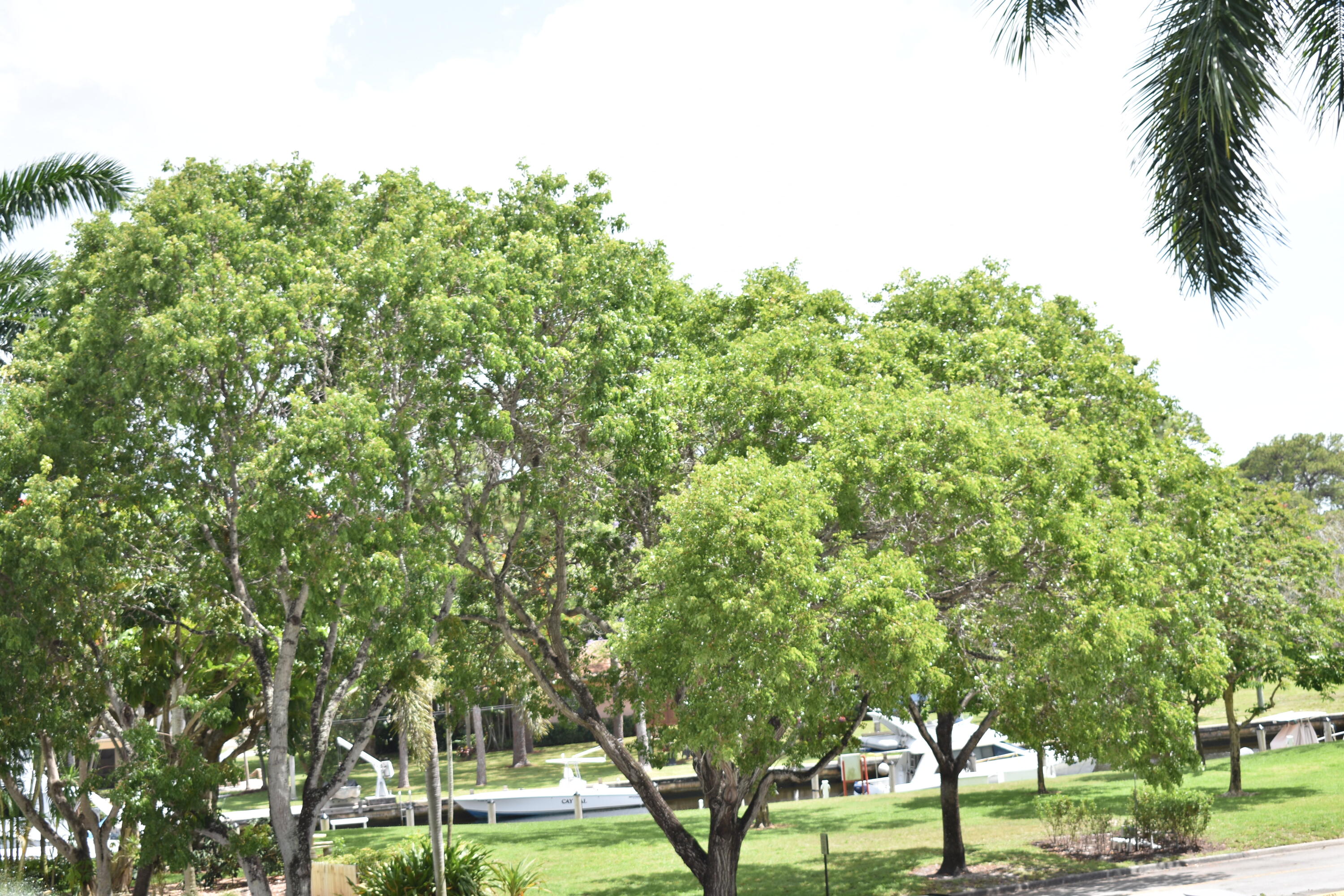 1101 River Reach #212, Fort Lauderdale FL 33315