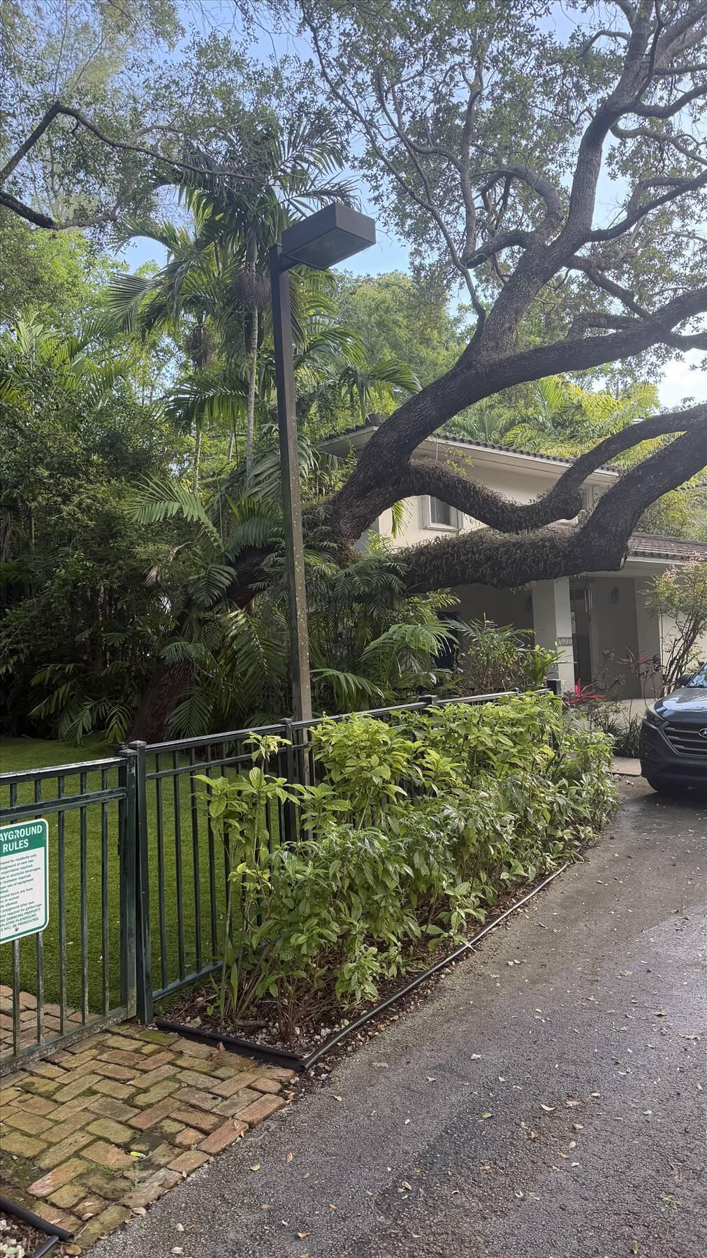 3611 SW 37th #19, Coconut Grove FL 33133