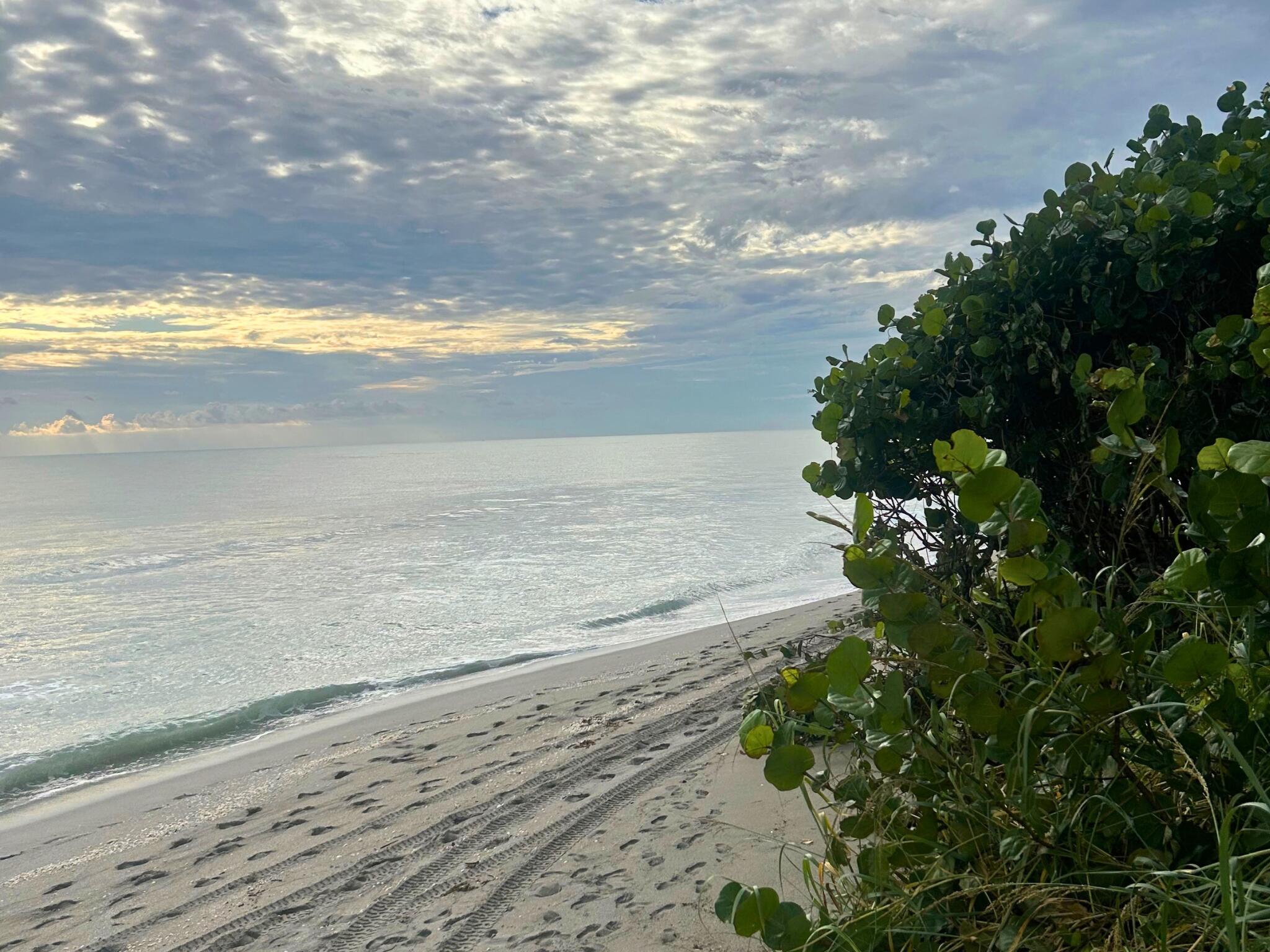 530 Ocean #202, Juno Beach FL 33408