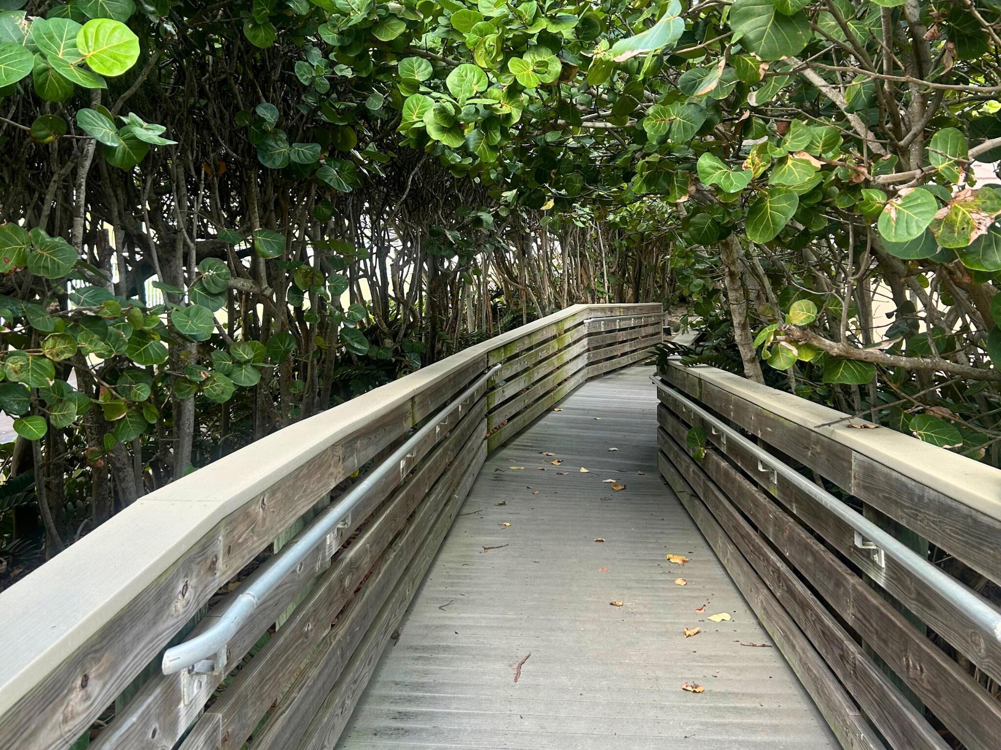 530 Ocean #202, Juno Beach FL 33408