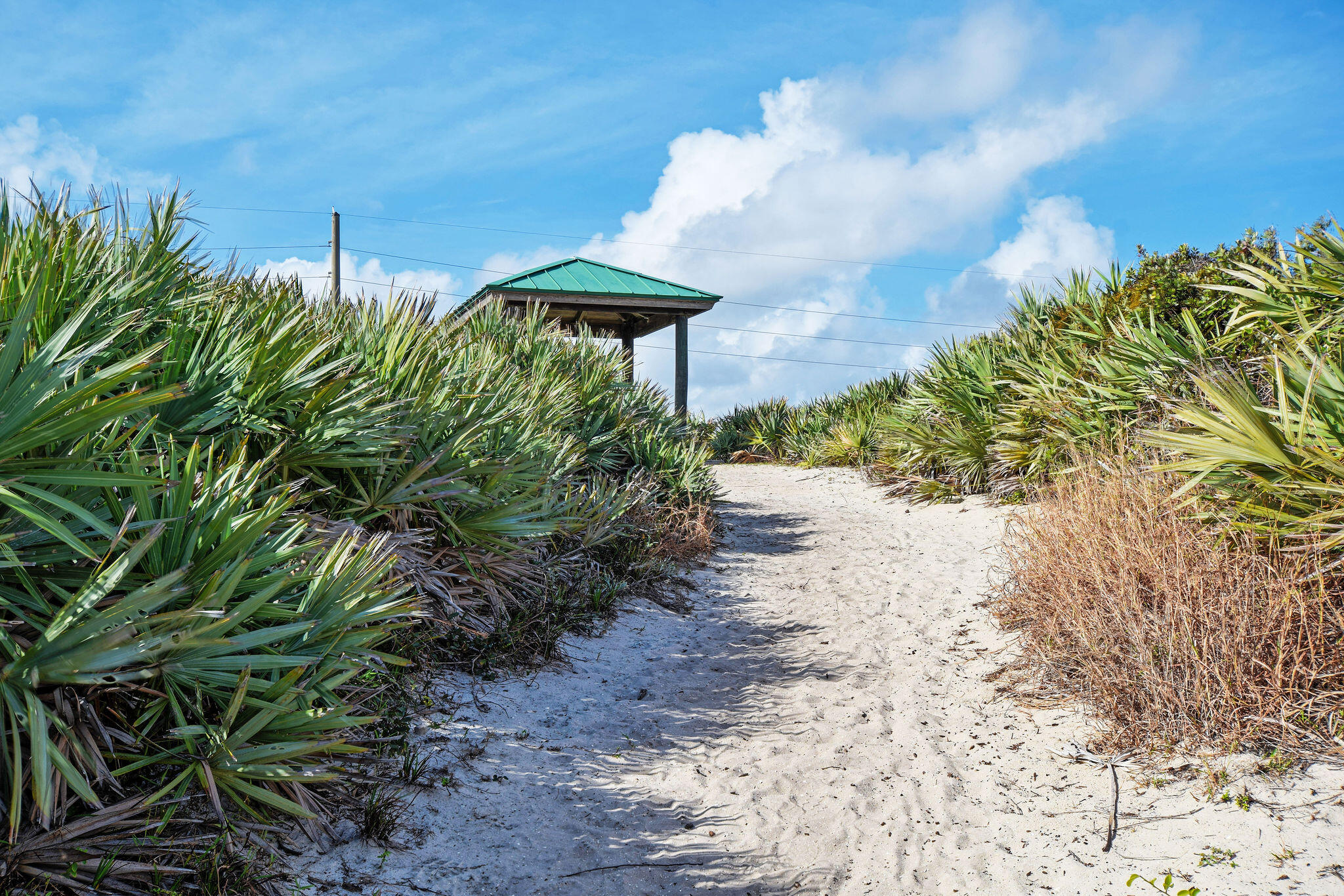900 Juno Ocean #2, Juno Beach FL 33408