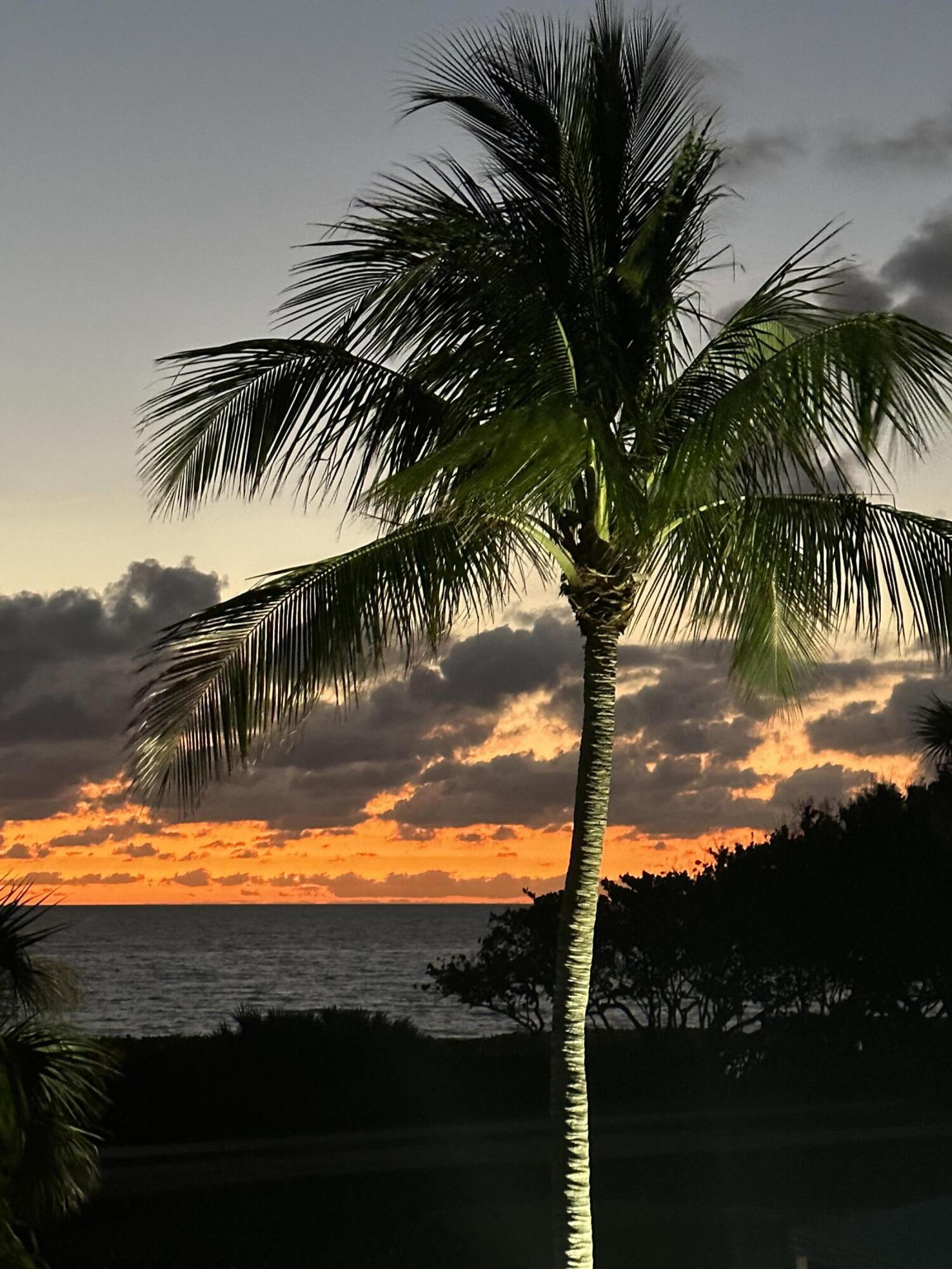 176 Helios #205, Jupiter FL 33477