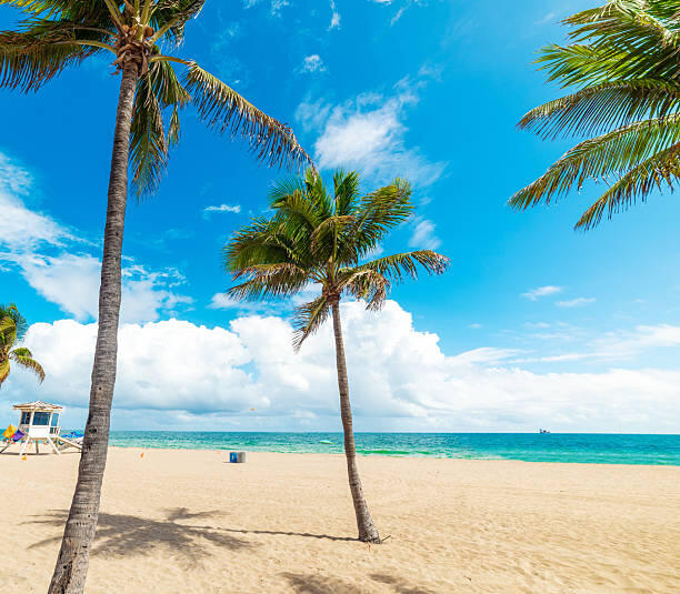3250 NE 28th #Unit 302, Fort Lauderdale FL 33308