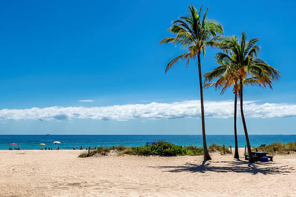 3250 NE 28th #Unit 302, Fort Lauderdale FL 33308