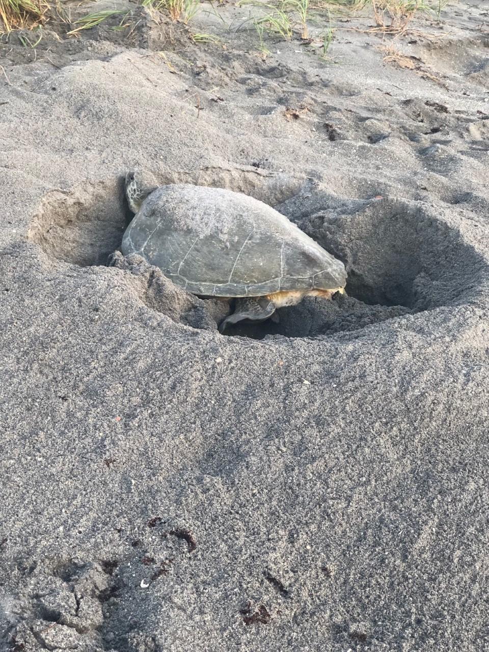 100 S Beach, Jupiter FL 33469