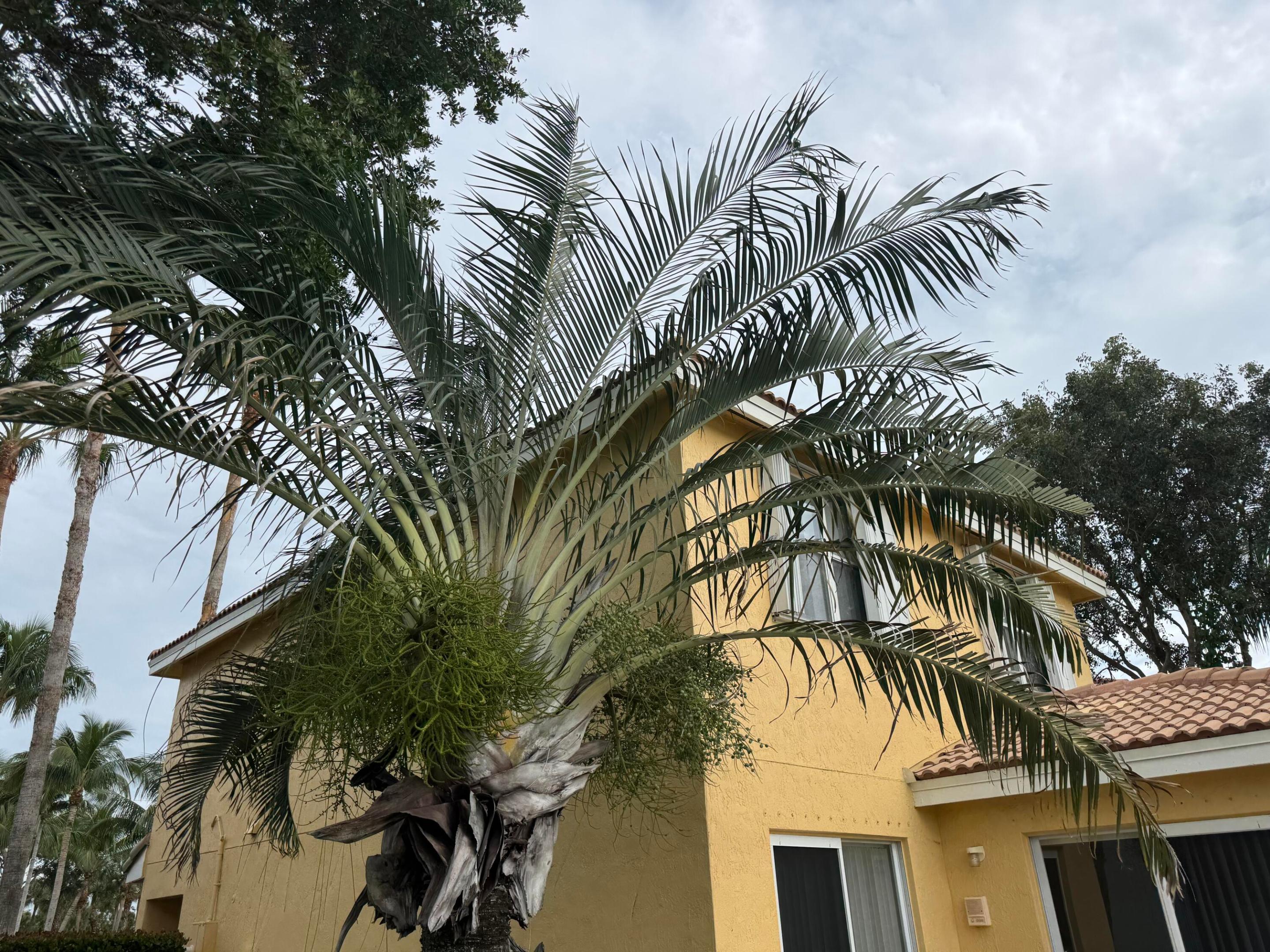 3472 Commodore, West Palm Beach FL 33411