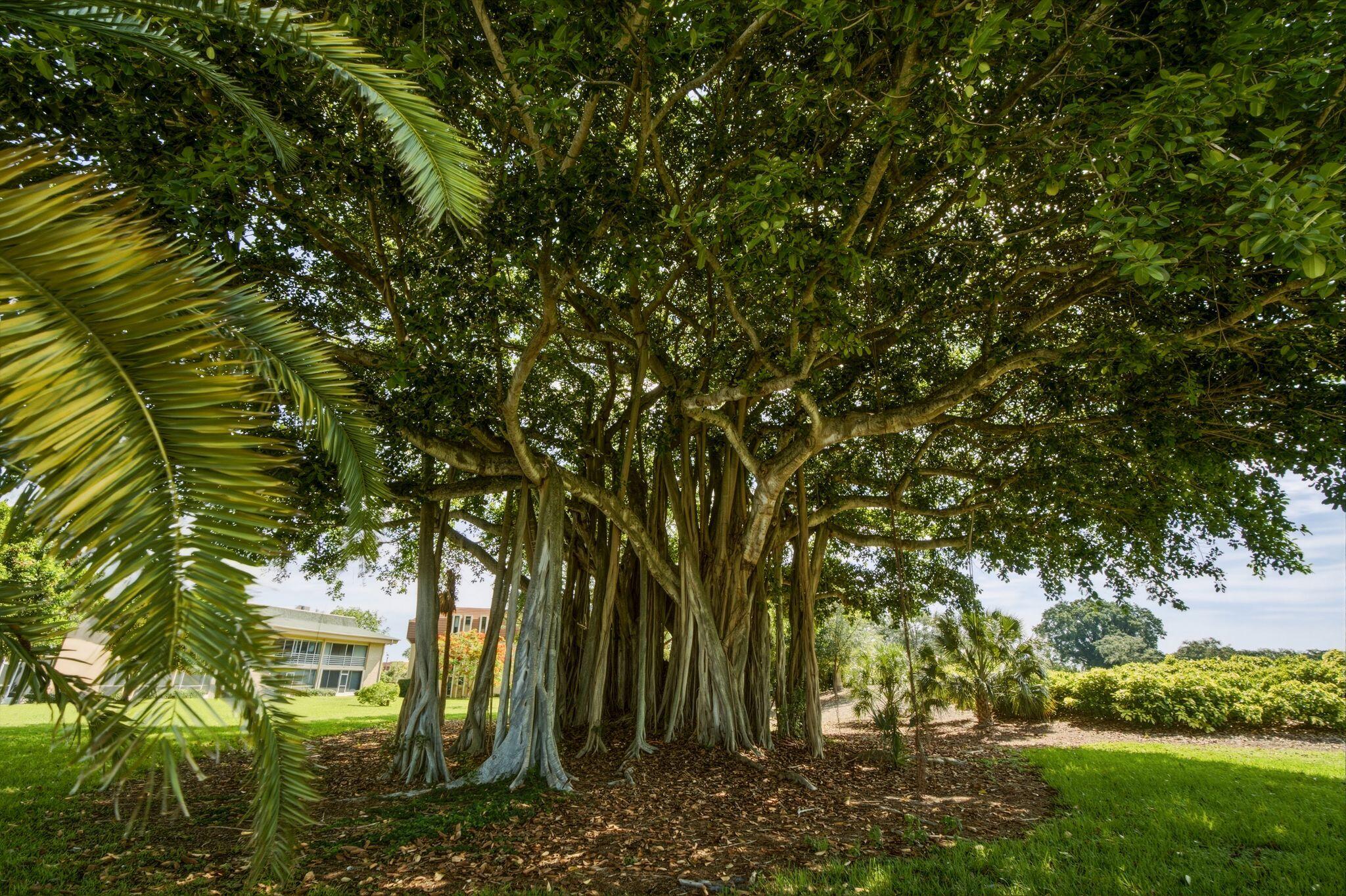 10720 Avenue Of The Pga, Palm Beach Gardens FL 33418