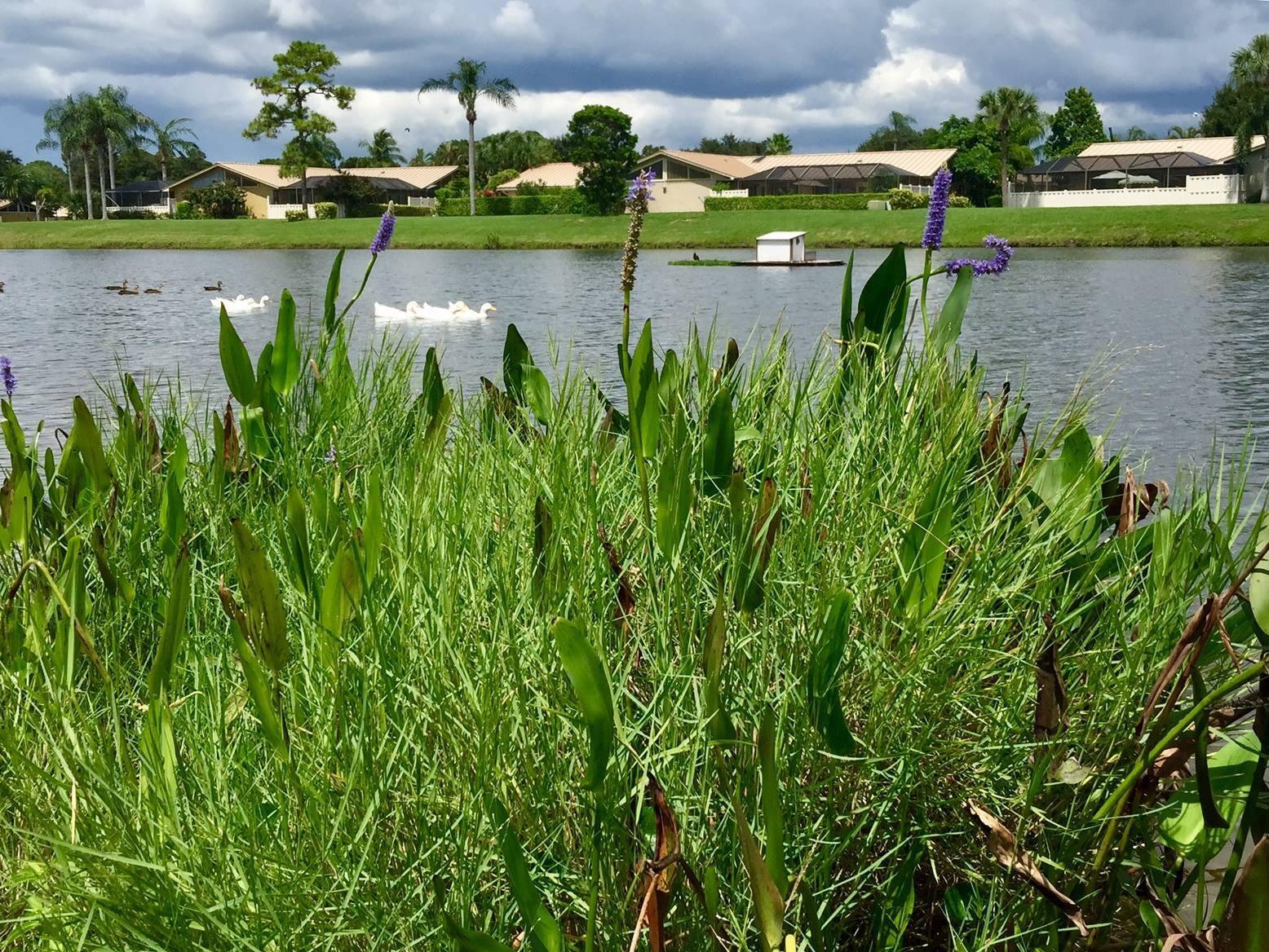 5385 Eagle Lake, Palm Beach Gardens FL 33418