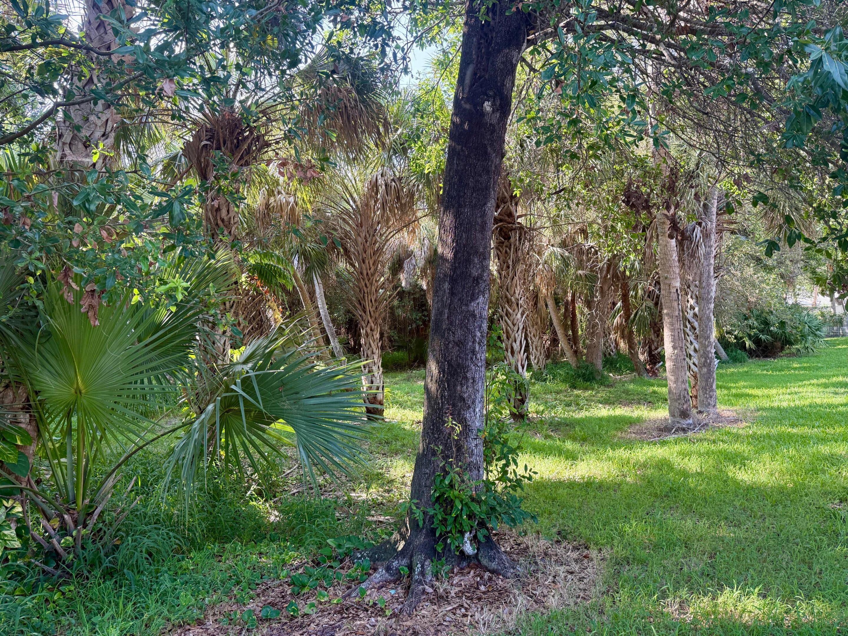 198 Hampton, Jupiter FL 33458
