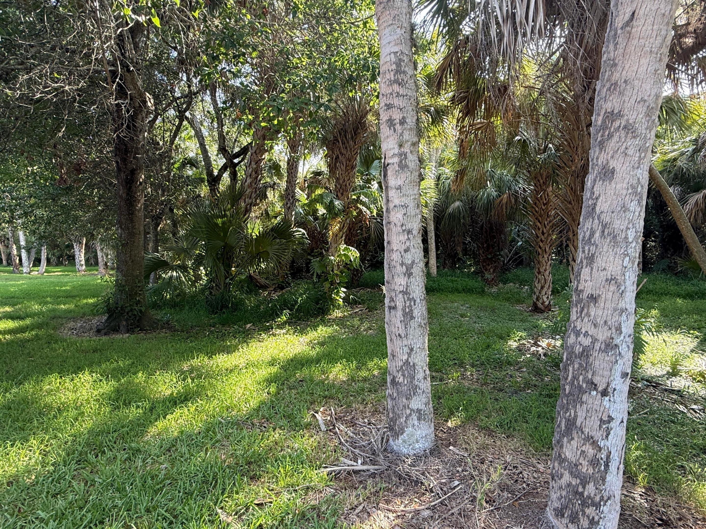 198 Hampton, Jupiter FL 33458