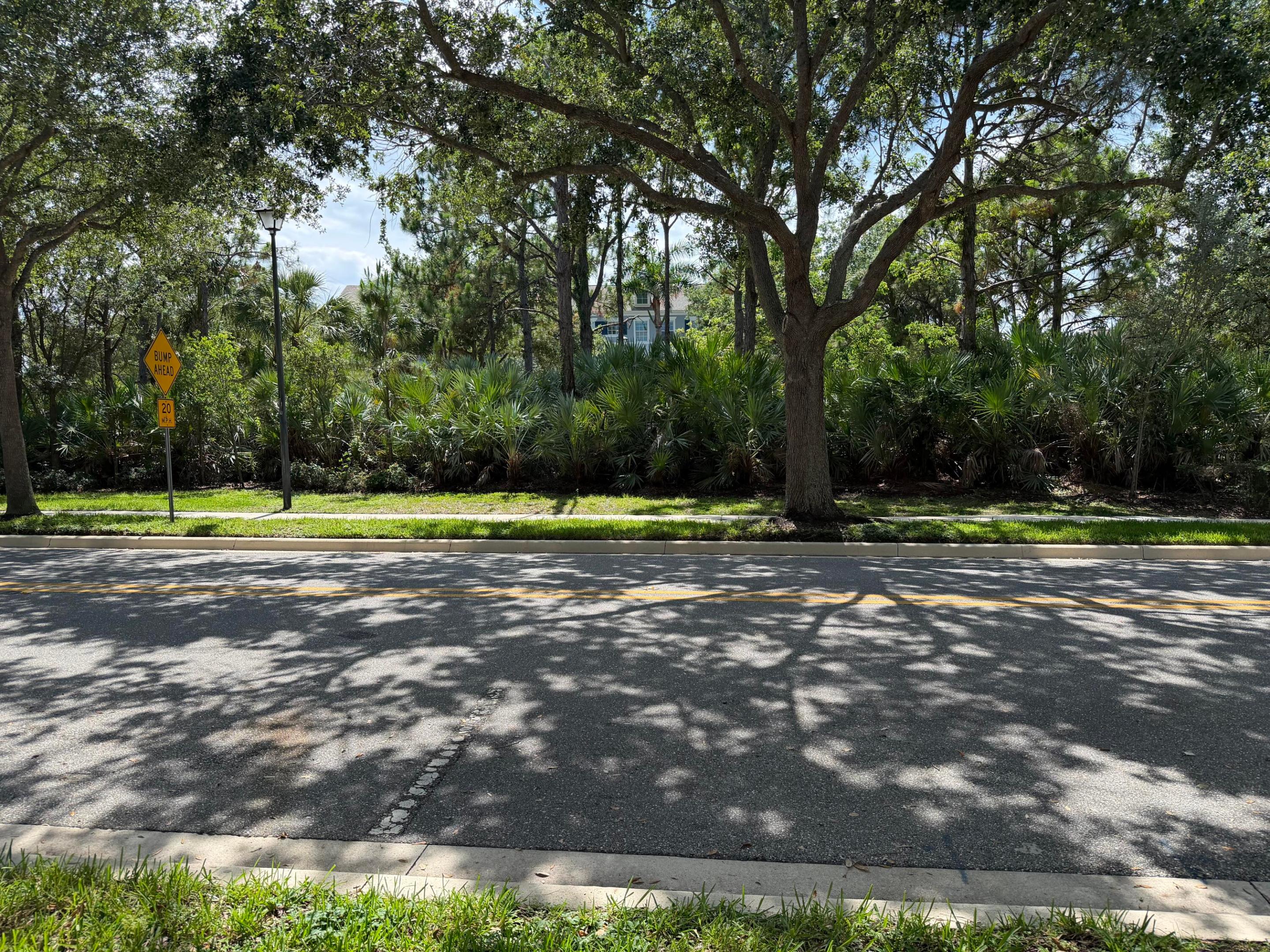 241 E Thatch Palm, Jupiter FL 33458
