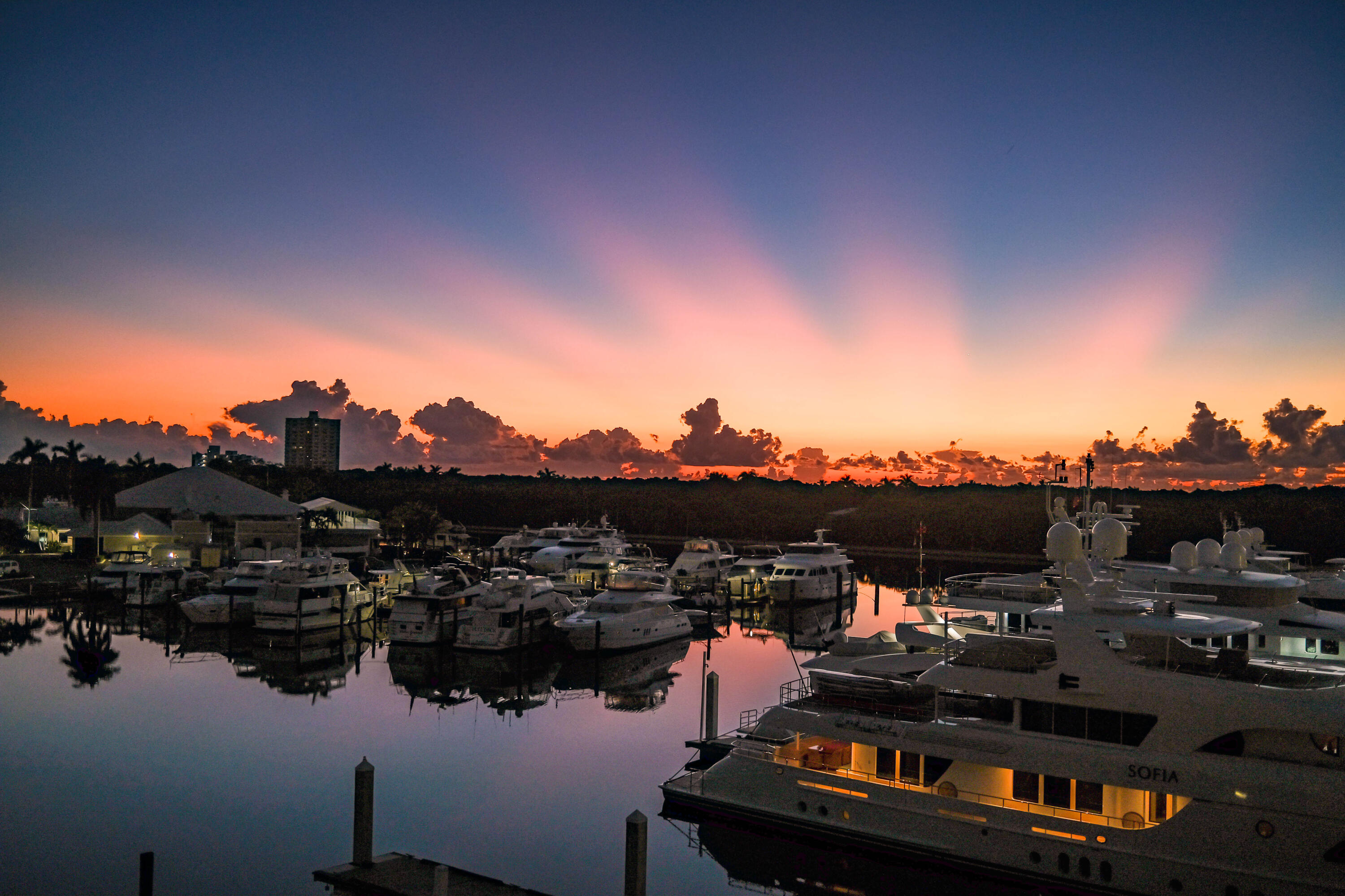 1050 Seminole #Phb, Fort Lauderdale FL 33304