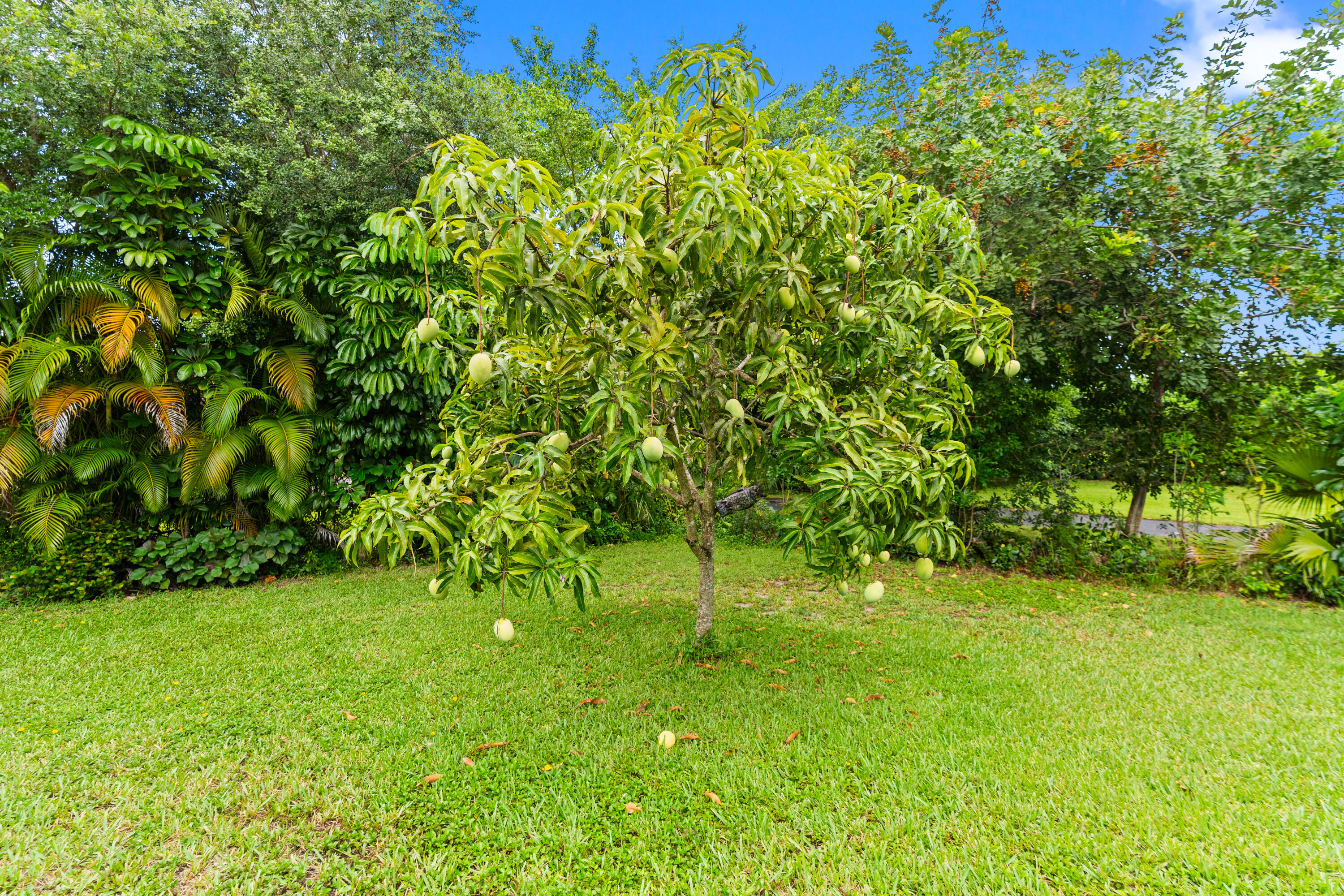 22829 Horse Shoe, Boca Raton FL 33428