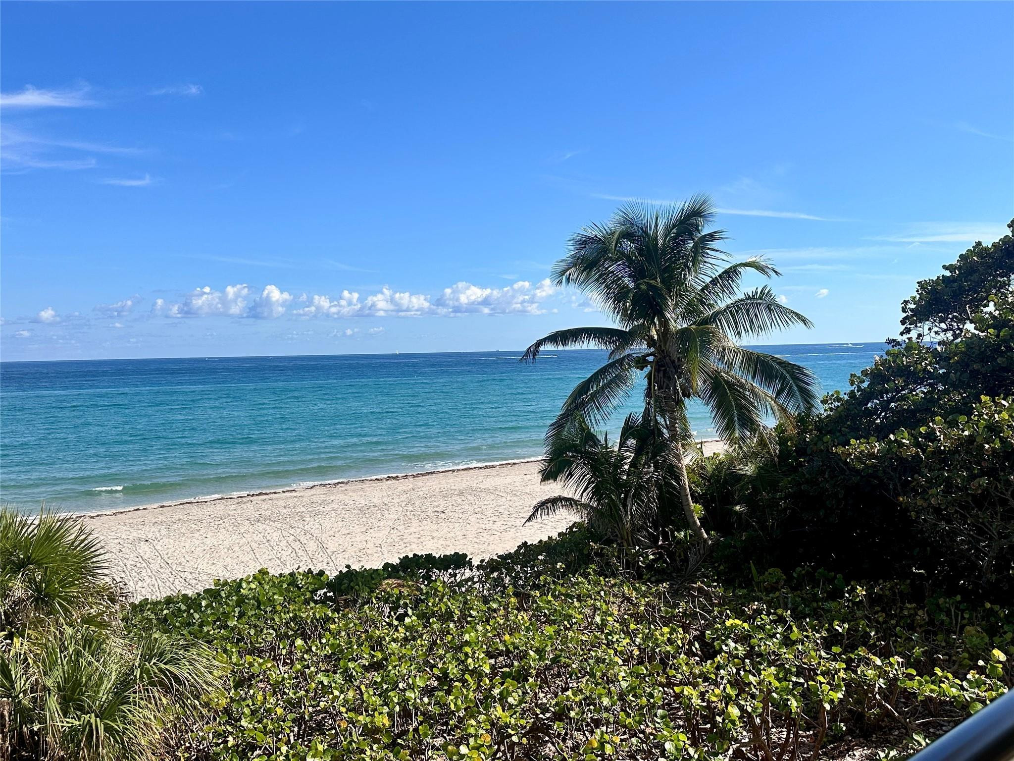 1147 Hillsboro Mile #214, Hillsboro Beach FL 33062