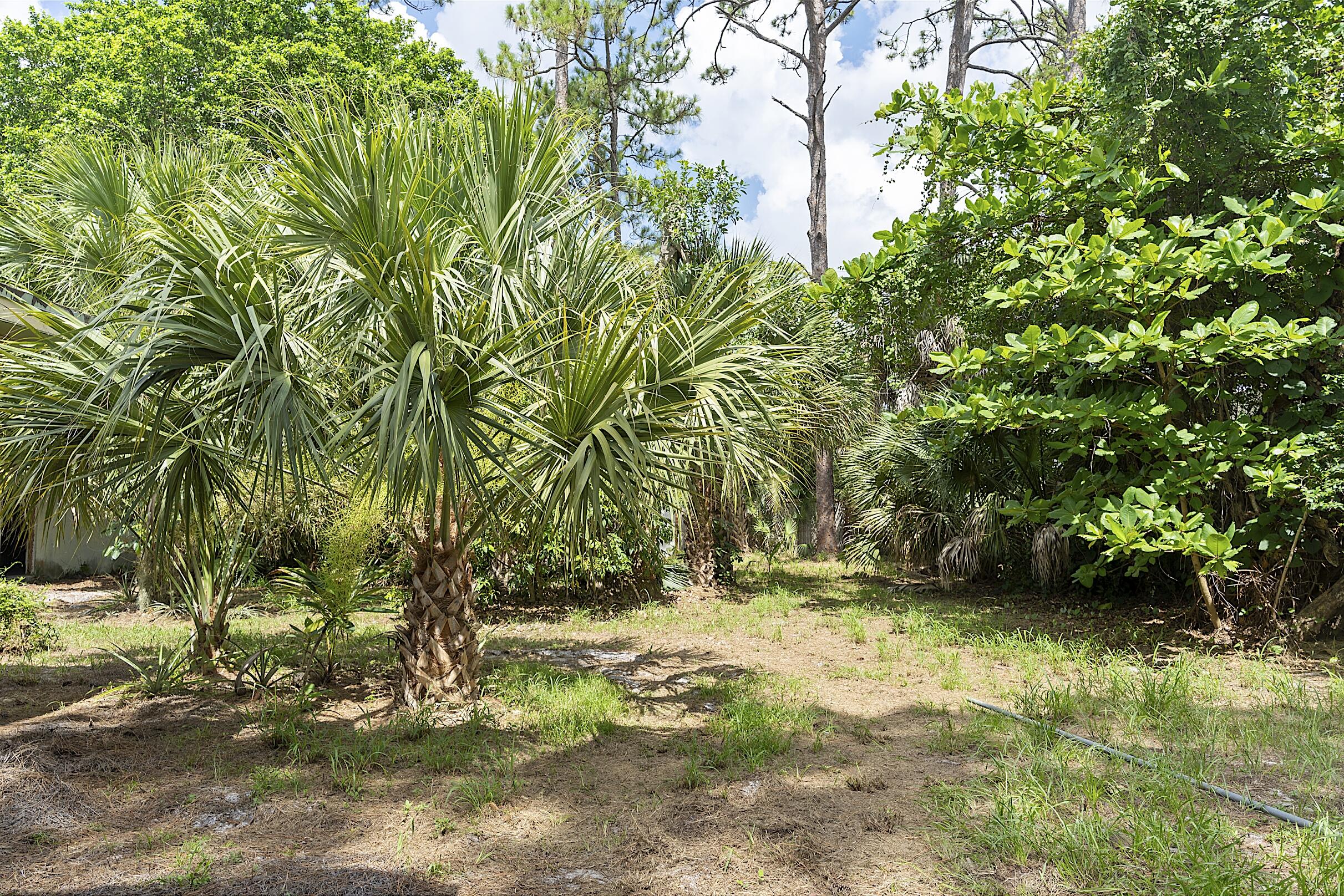 799 Ivory, Haverhill FL 33415