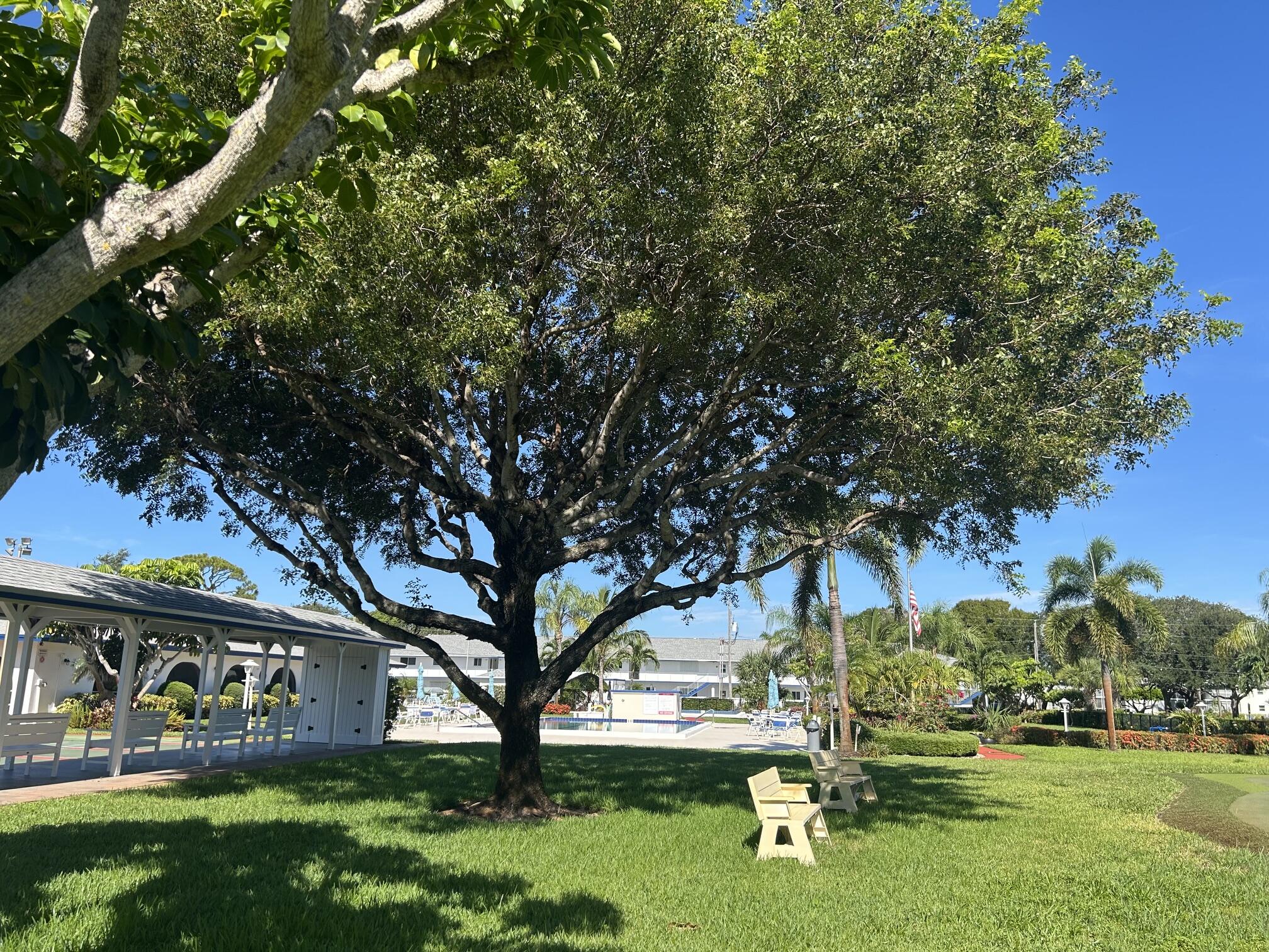 4 Westwood, Jupiter FL 33469