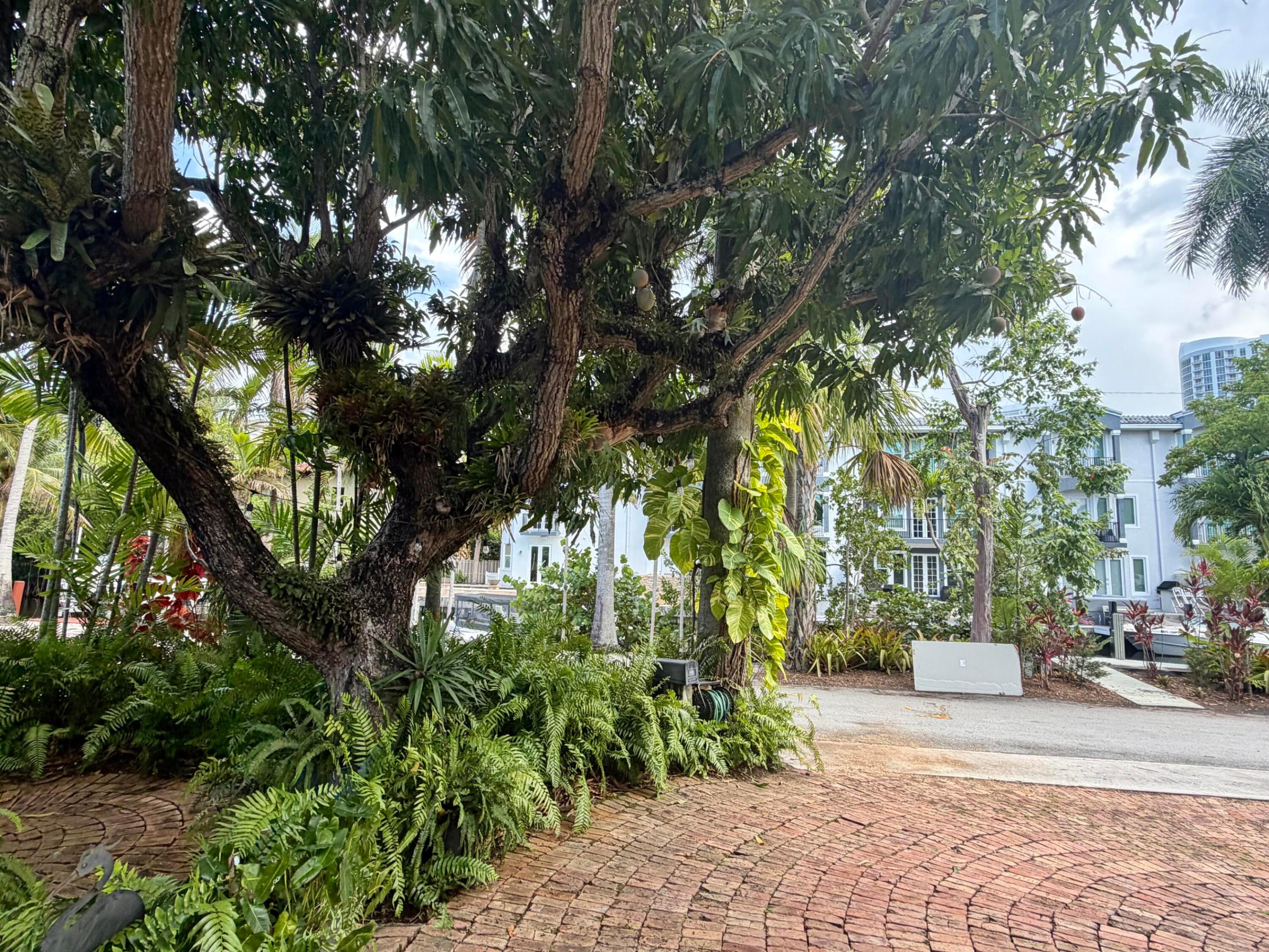 1101 SE 2nd, Fort Lauderdale FL 33301